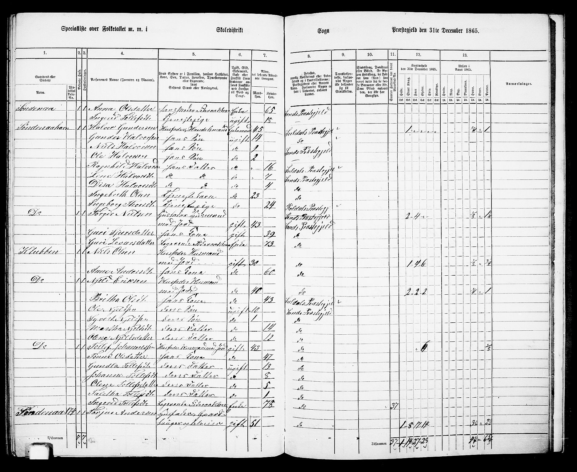 RA, 1865 census for Sand, 1865, p. 153