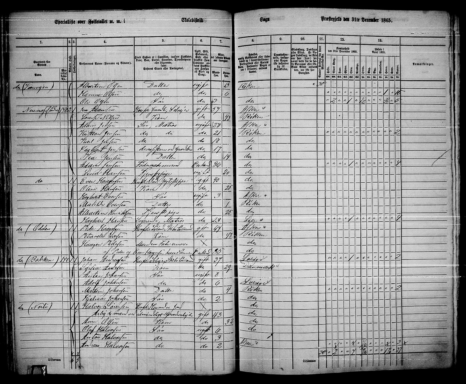 RA, 1865 census for Røyken, 1865, p. 58