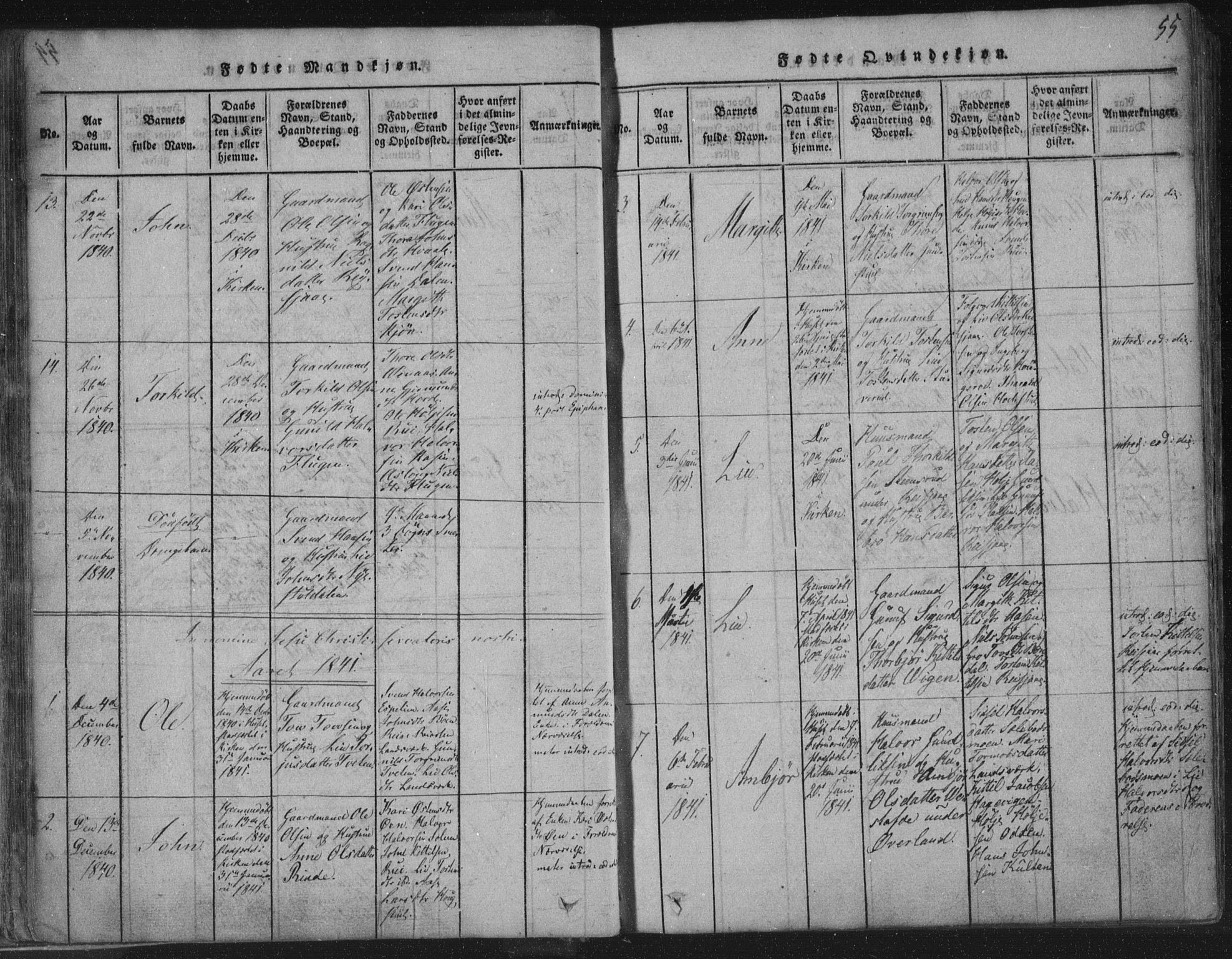 Hjartdal kirkebøker, AV/SAKO-A-270/F/Fc/L0001: Parish register (official) no. III 1, 1815-1843, p. 55