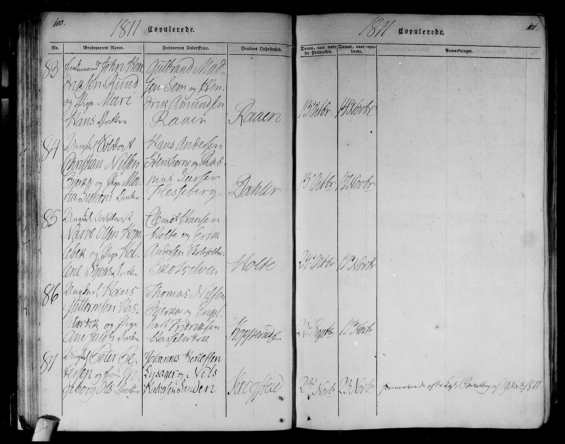 Eiker kirkebøker, AV/SAKO-A-4/F/Fa/L0010: Parish register (official) no. I 10, 1806-1815, p. 100-101