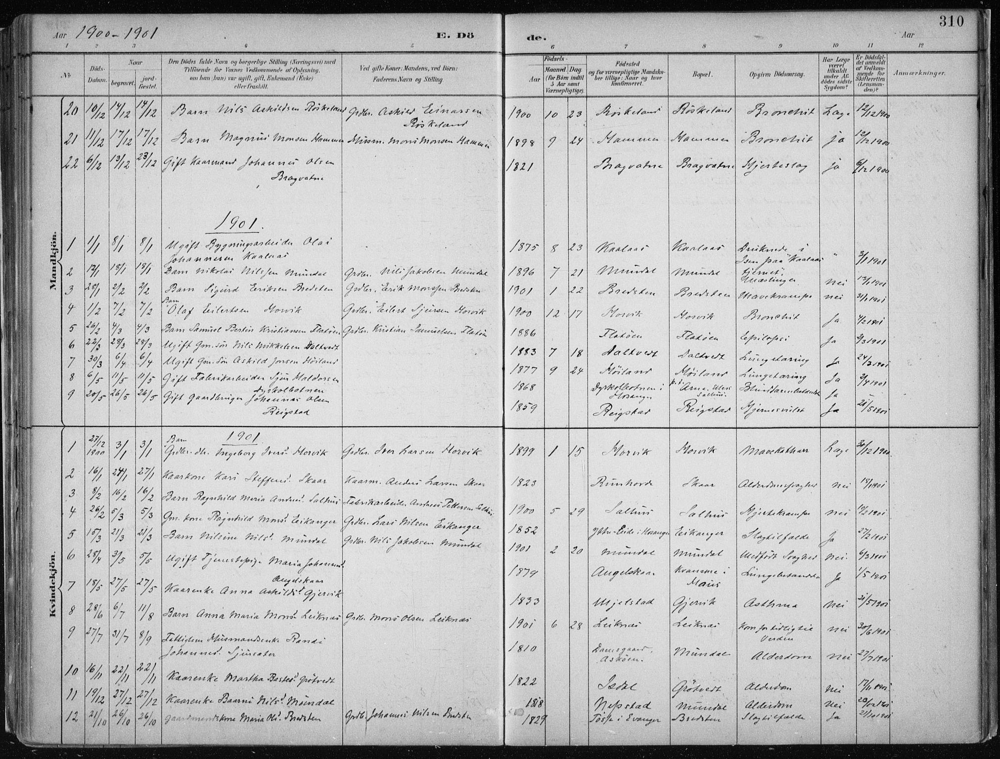 Hamre sokneprestembete, SAB/A-75501/H/Ha/Haa/Haab/L0001: Parish register (official) no. B  1, 1882-1905, p. 310