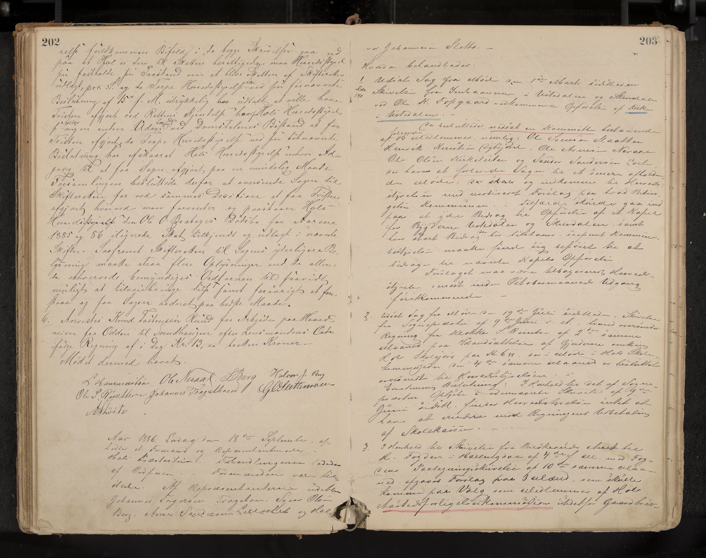 Hol formannskap og sentraladministrasjon, IKAK/0620021-1/A/L0001: Møtebok, 1877-1893, p. 202-203