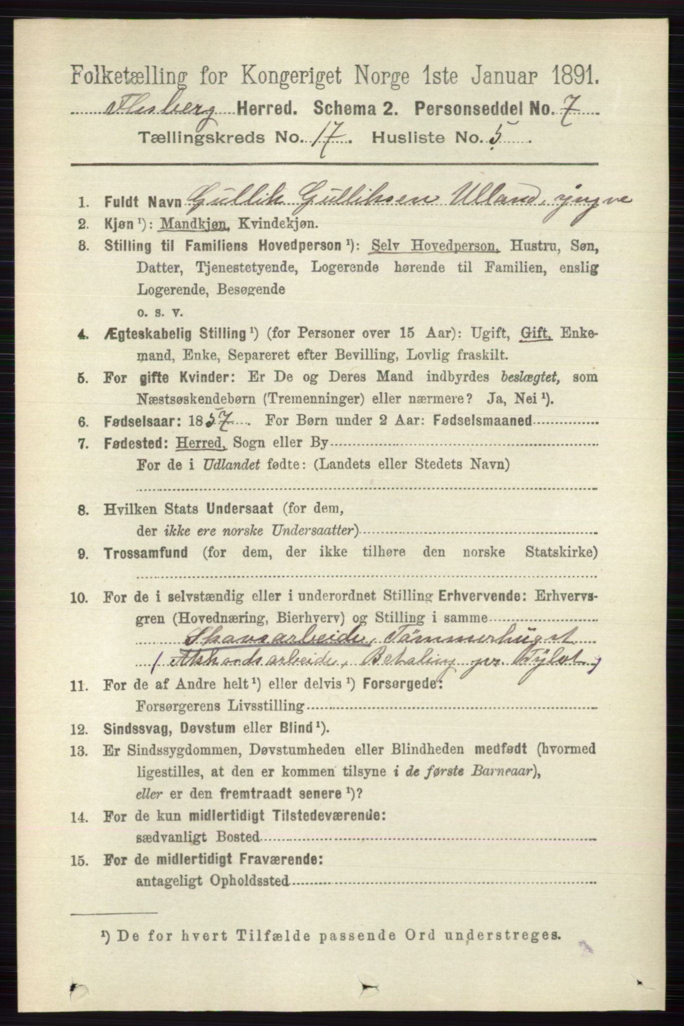 RA, 1891 census for 0631 Flesberg, 1891, p. 3010