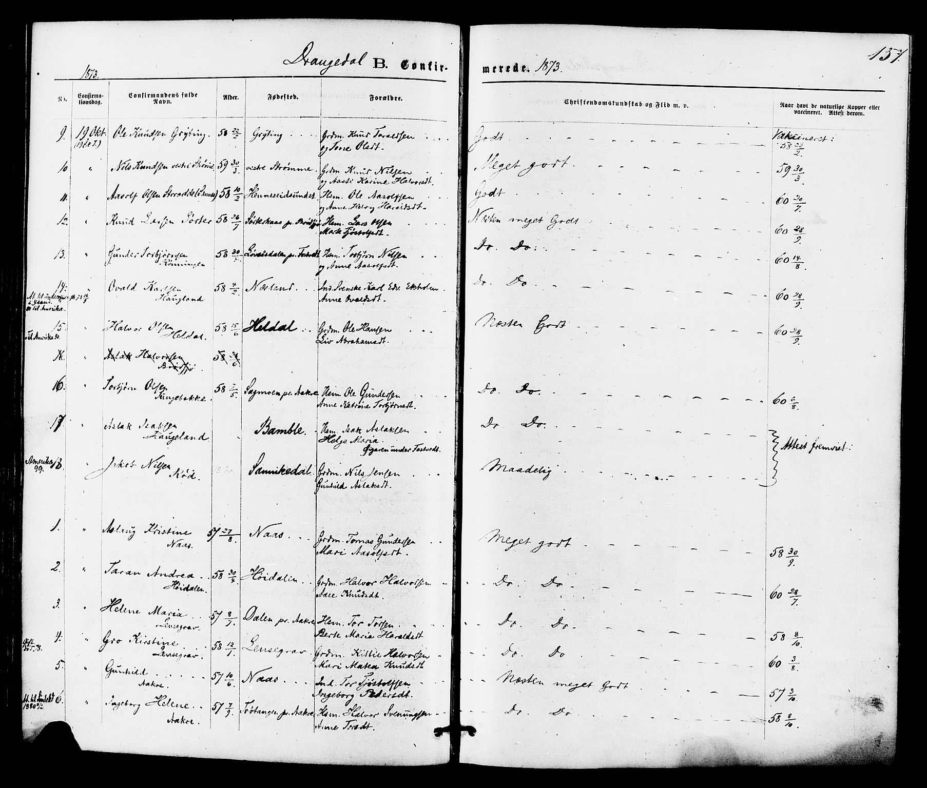 Drangedal kirkebøker, SAKO/A-258/F/Fa/L0009: Parish register (official) no. 9 /1, 1872-1884, p. 157