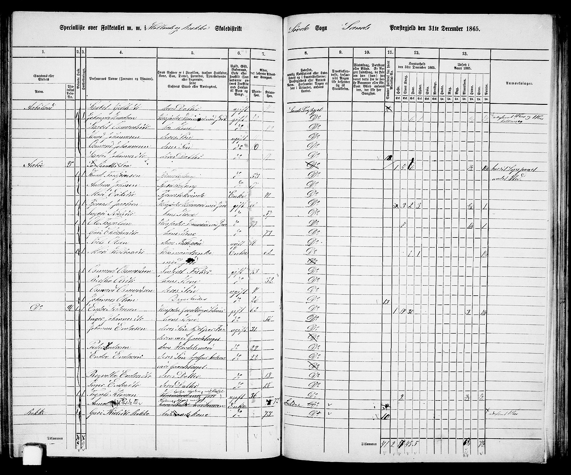 RA, 1865 census for Sand, 1865, p. 117