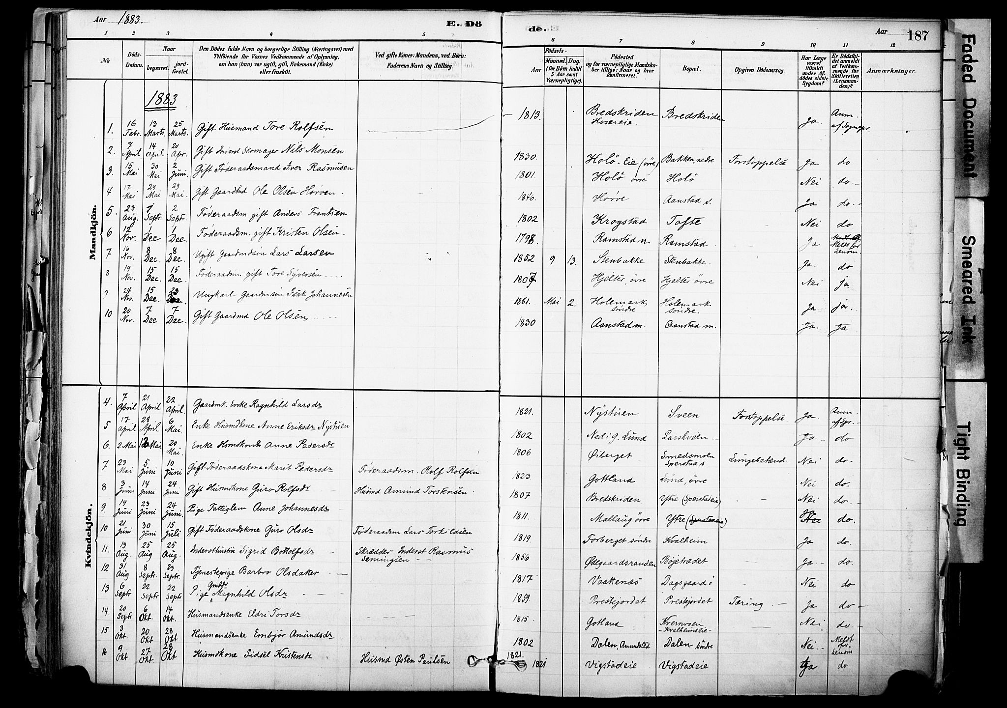 Skjåk prestekontor, SAH/PREST-072/H/Ha/Haa/L0003: Parish register (official) no. 3, 1880-1907, p. 187