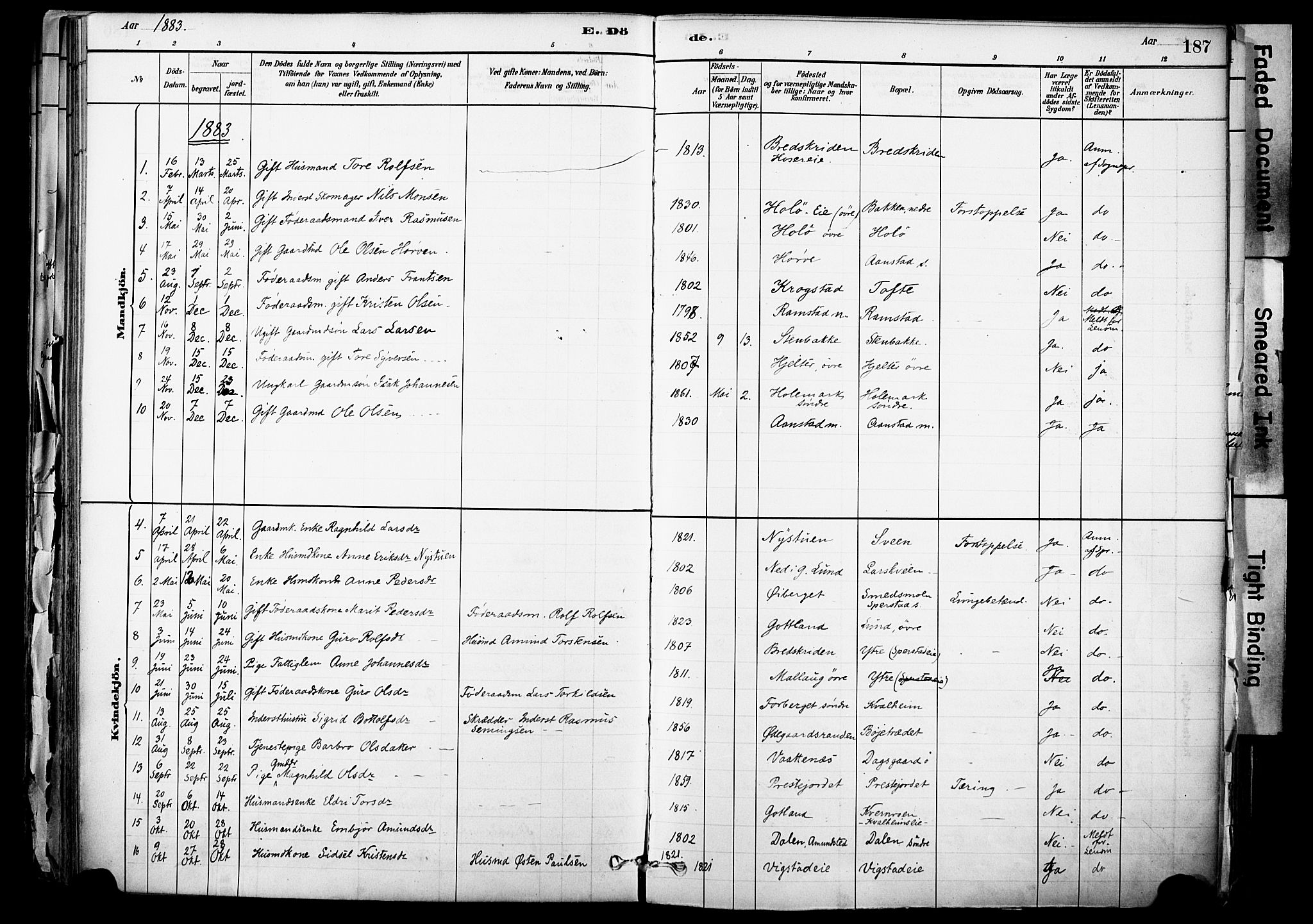 Skjåk prestekontor, AV/SAH-PREST-072/H/Ha/Haa/L0003: Parish register (official) no. 3, 1880-1907, p. 187