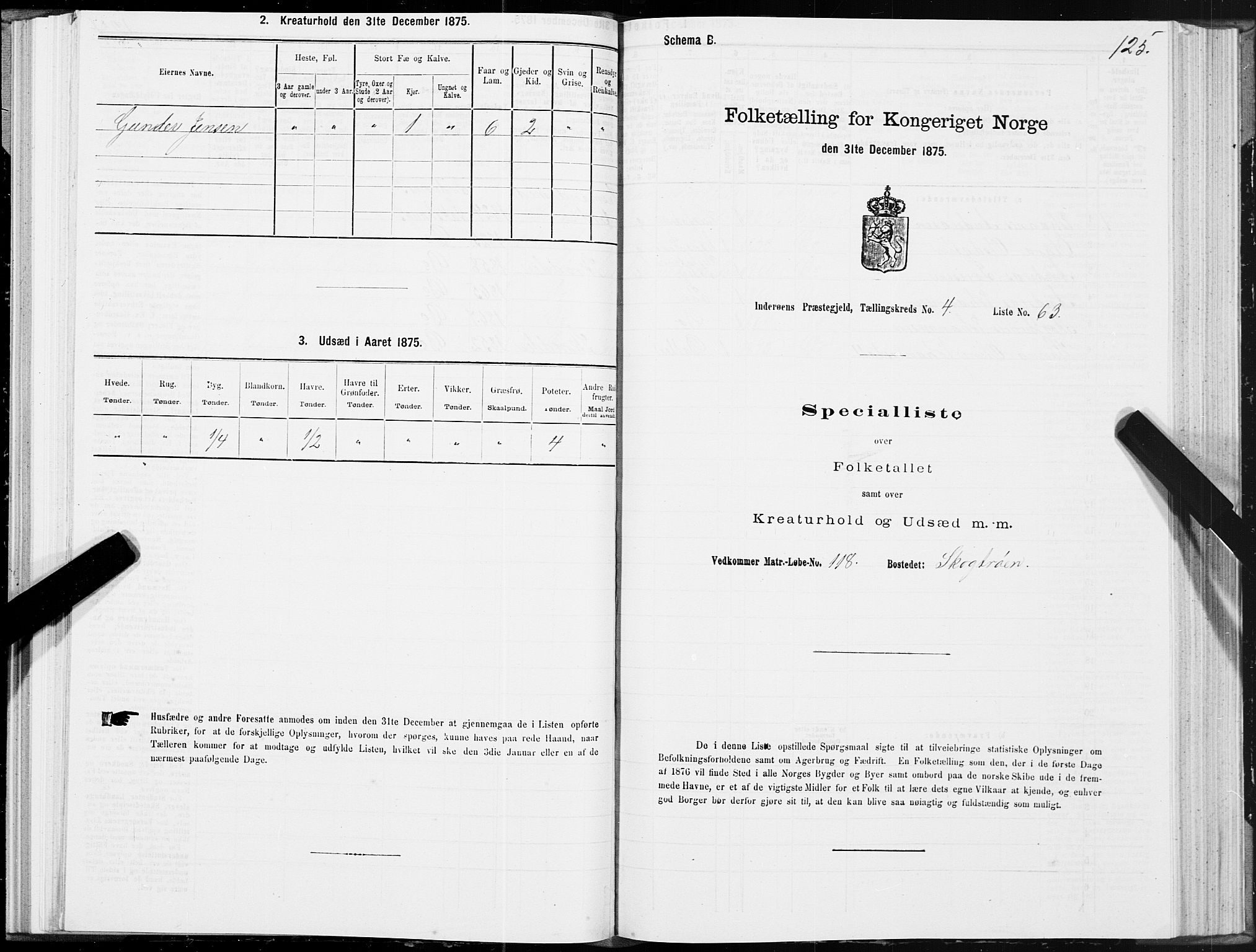 SAT, 1875 census for 1729P Inderøy, 1875, p. 3125