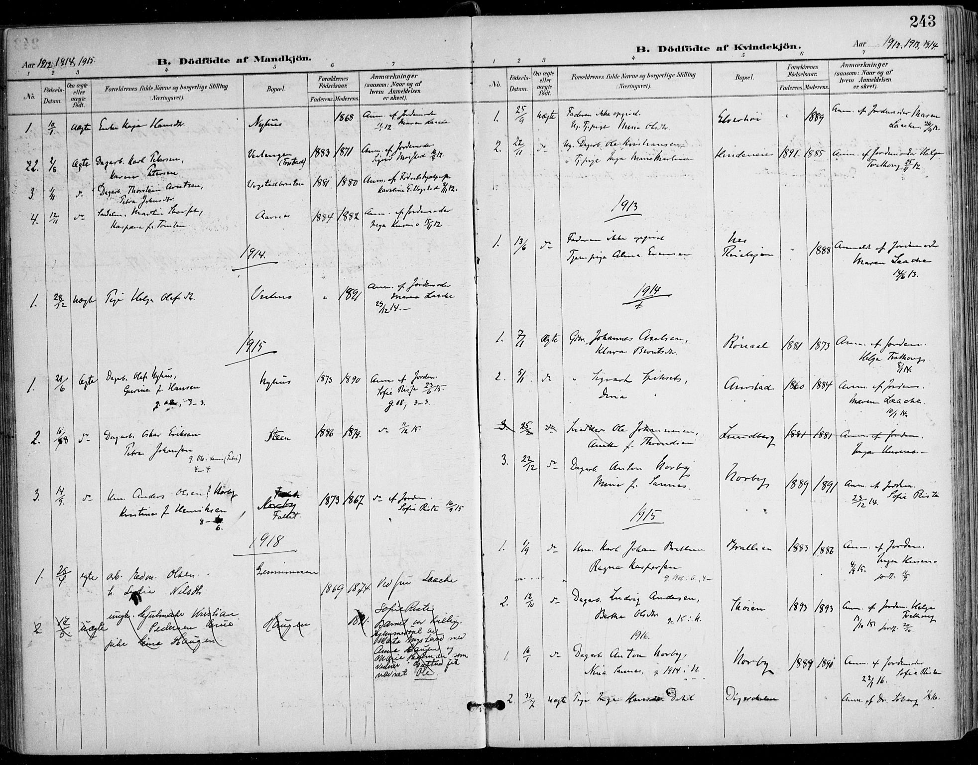 Nes prestekontor Kirkebøker, AV/SAO-A-10410/F/Fa/L0011: Parish register (official) no. I 11, 1899-1918, p. 243