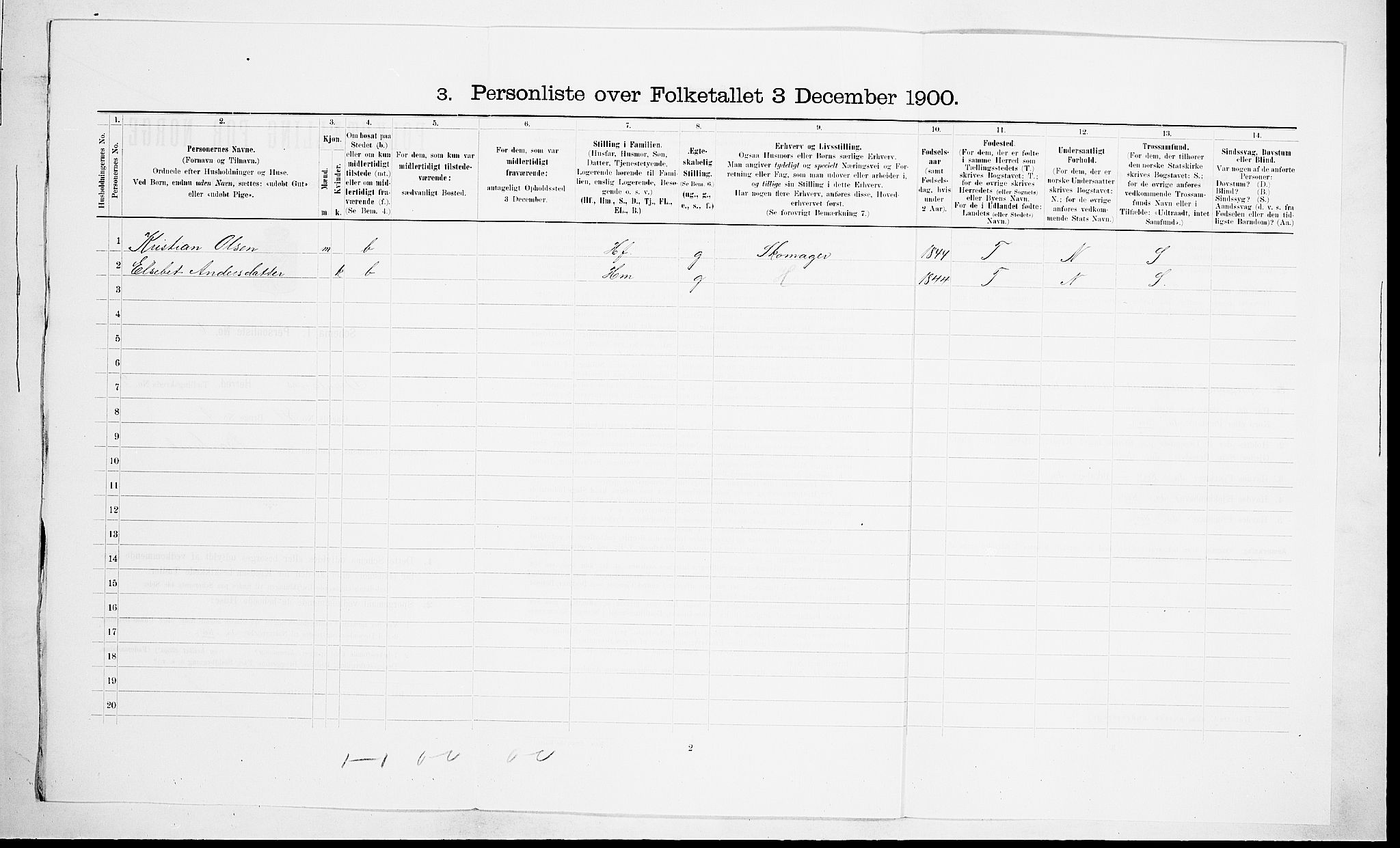 RA, 1900 census for Brunlanes, 1900, p. 1362