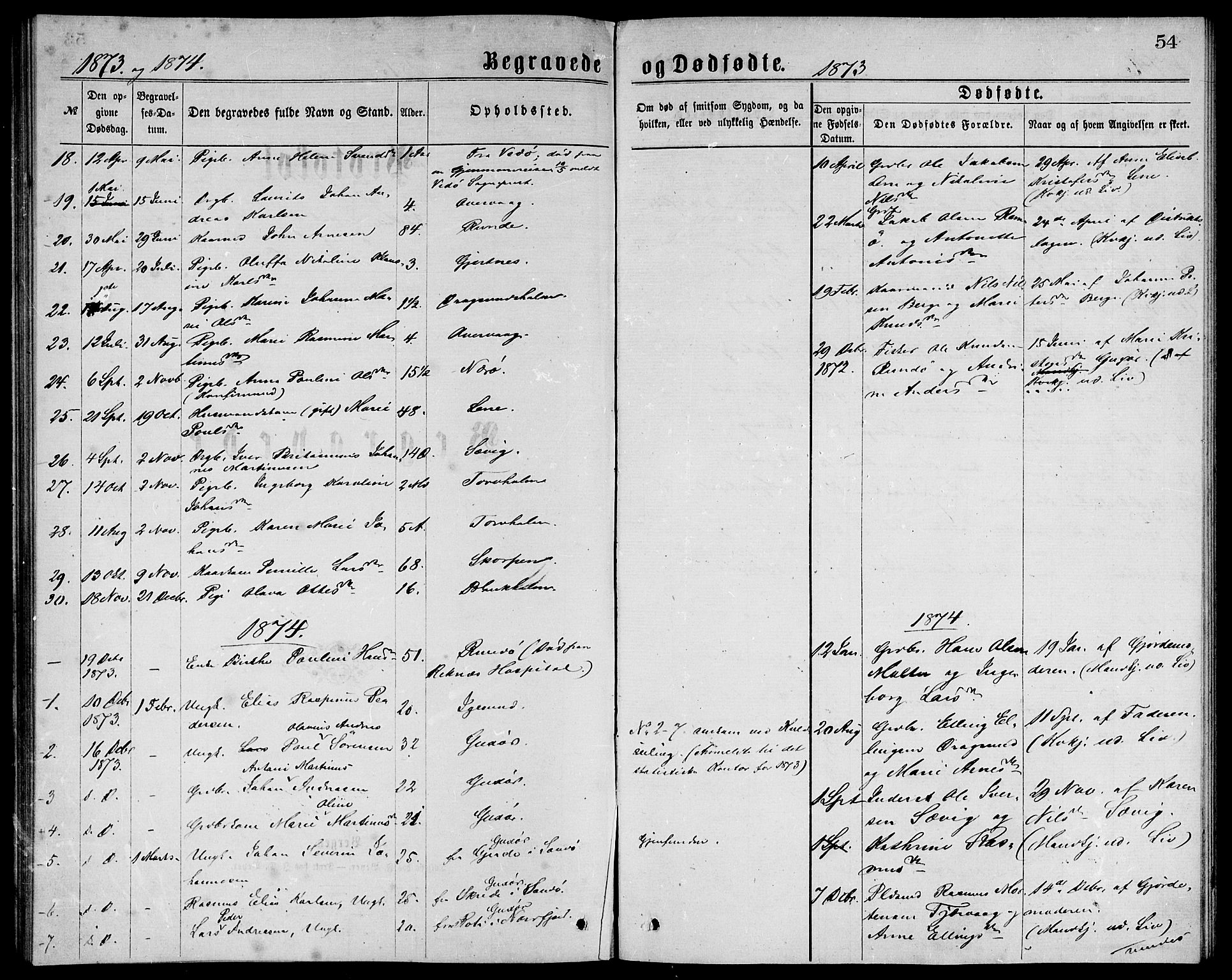 Ministerialprotokoller, klokkerbøker og fødselsregistre - Møre og Romsdal, AV/SAT-A-1454/507/L0072: Parish register (official) no. 507A07, 1869-1878, p. 54