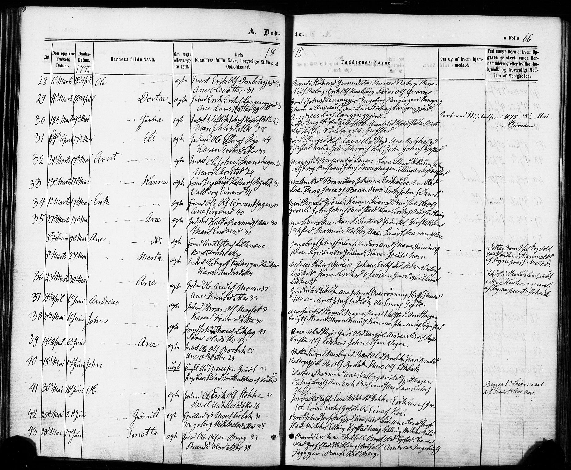 Ministerialprotokoller, klokkerbøker og fødselsregistre - Sør-Trøndelag, AV/SAT-A-1456/672/L0856: Parish register (official) no. 672A08, 1861-1881, p. 66