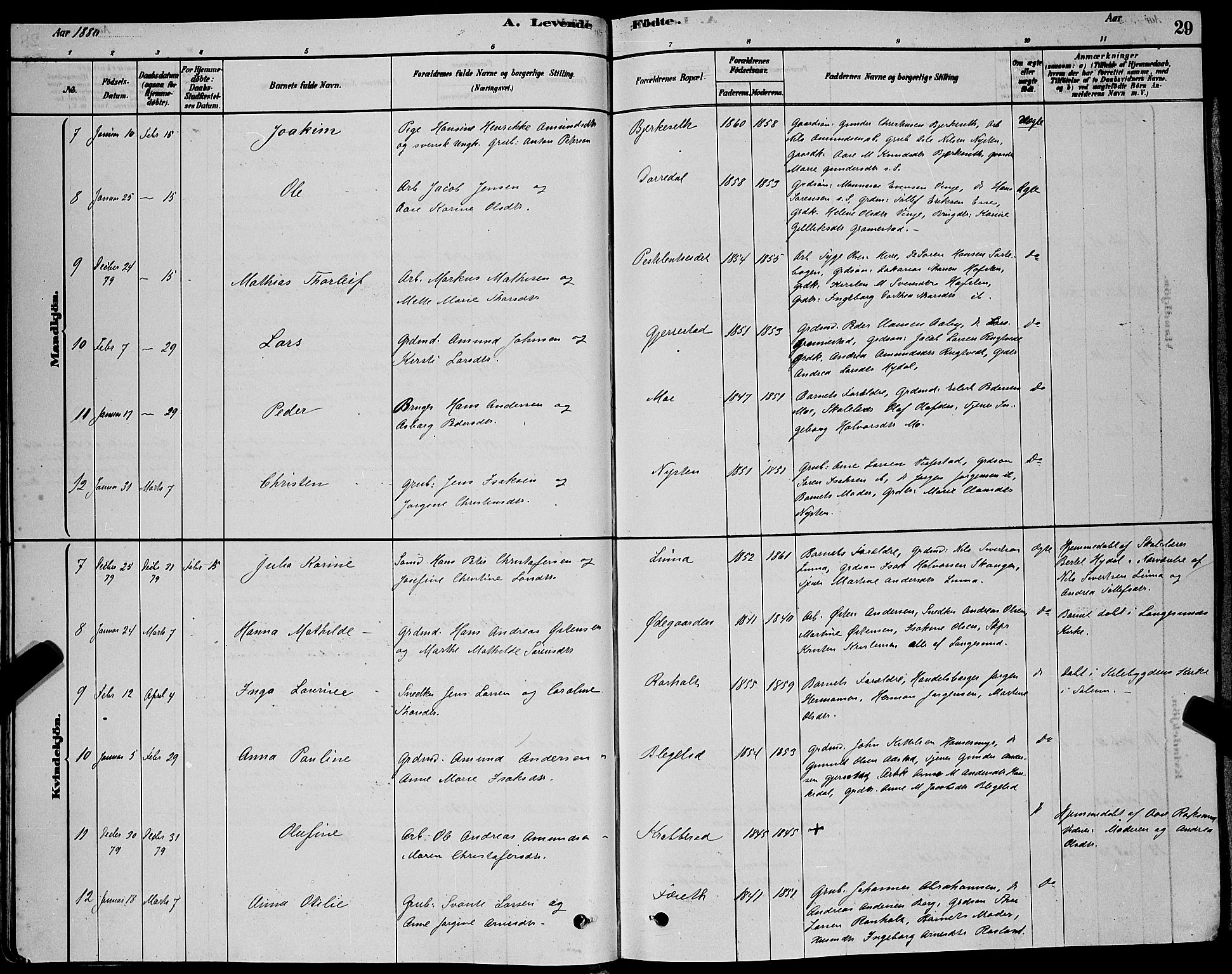 Bamble kirkebøker, AV/SAKO-A-253/G/Ga/L0008: Parish register (copy) no. I 8, 1878-1888, p. 29