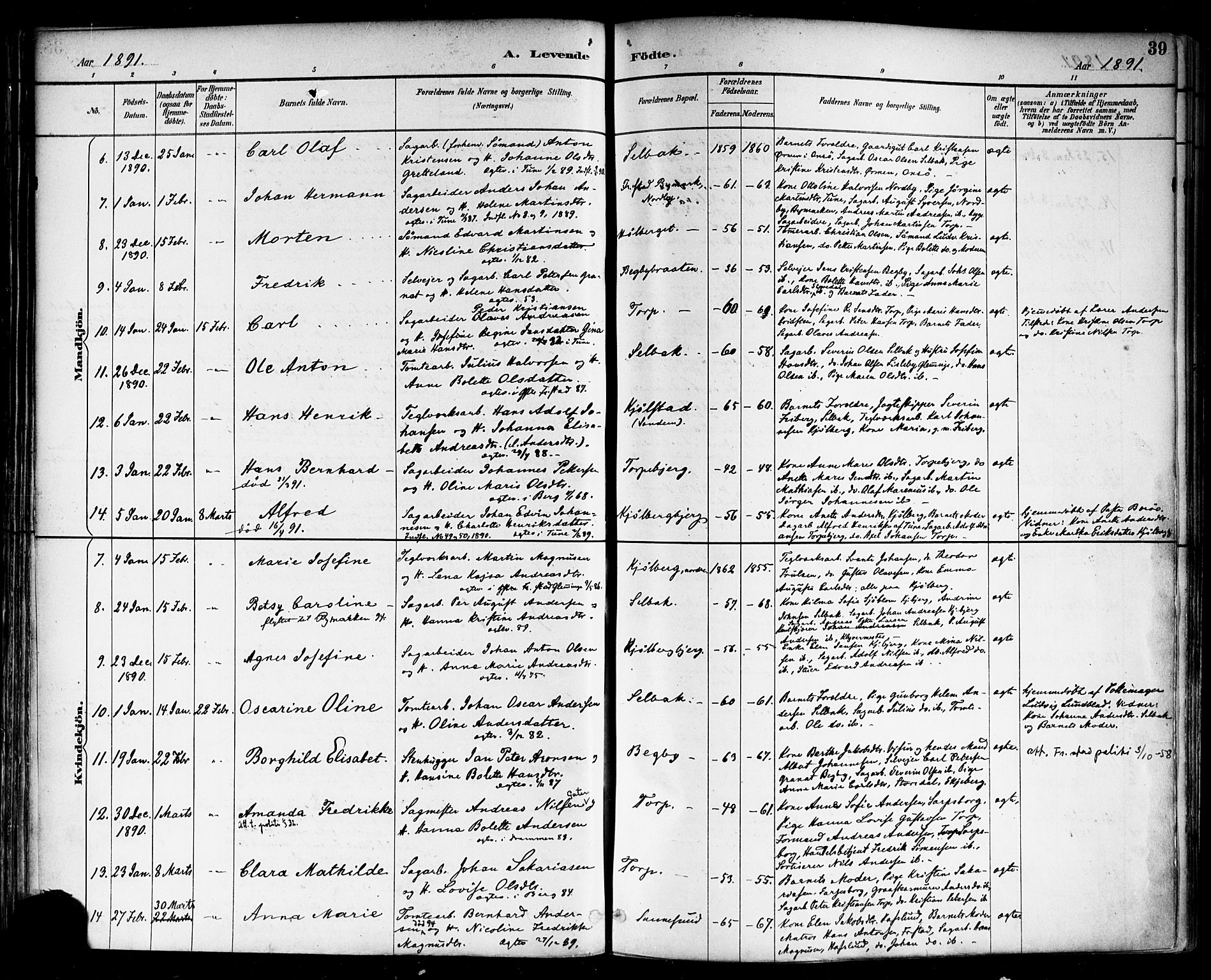 Borge prestekontor Kirkebøker, SAO/A-10903/F/Fa/L0008: Parish register (official) no. I 8A, 1887-1902, p. 39