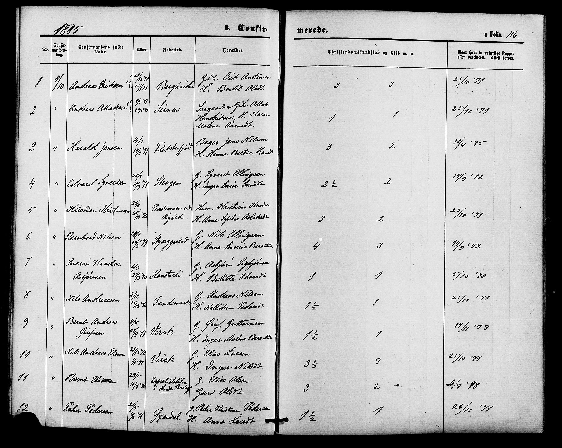 Bakke sokneprestkontor, SAK/1111-0002/F/Fa/Faa/L0007: Parish register (official) no. A 7, 1877-1886, p. 116