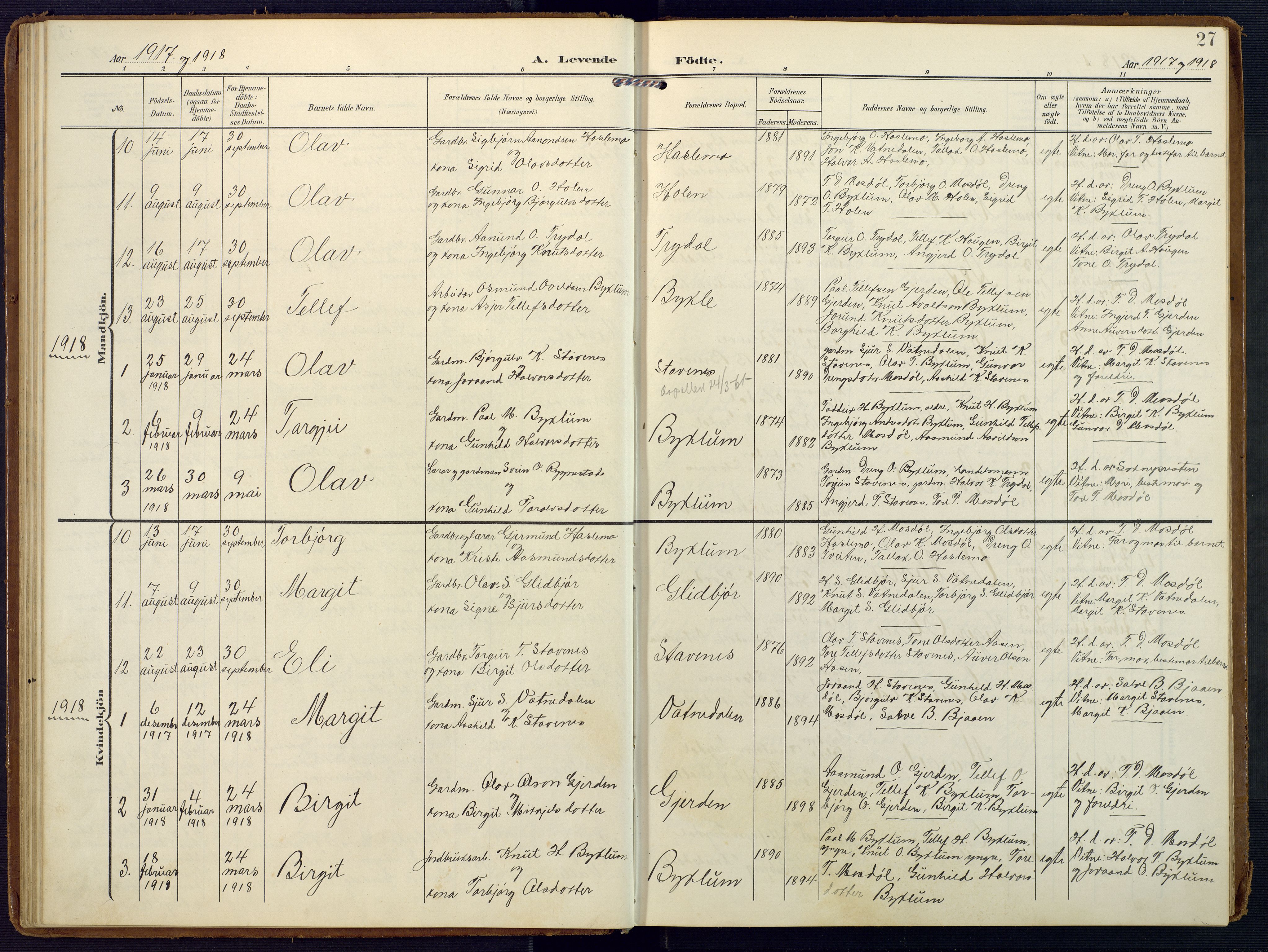 Valle sokneprestkontor, AV/SAK-1111-0044/F/Fa/Faa/L0002: Parish register (official) no. A 2, 1907-1919, p. 27