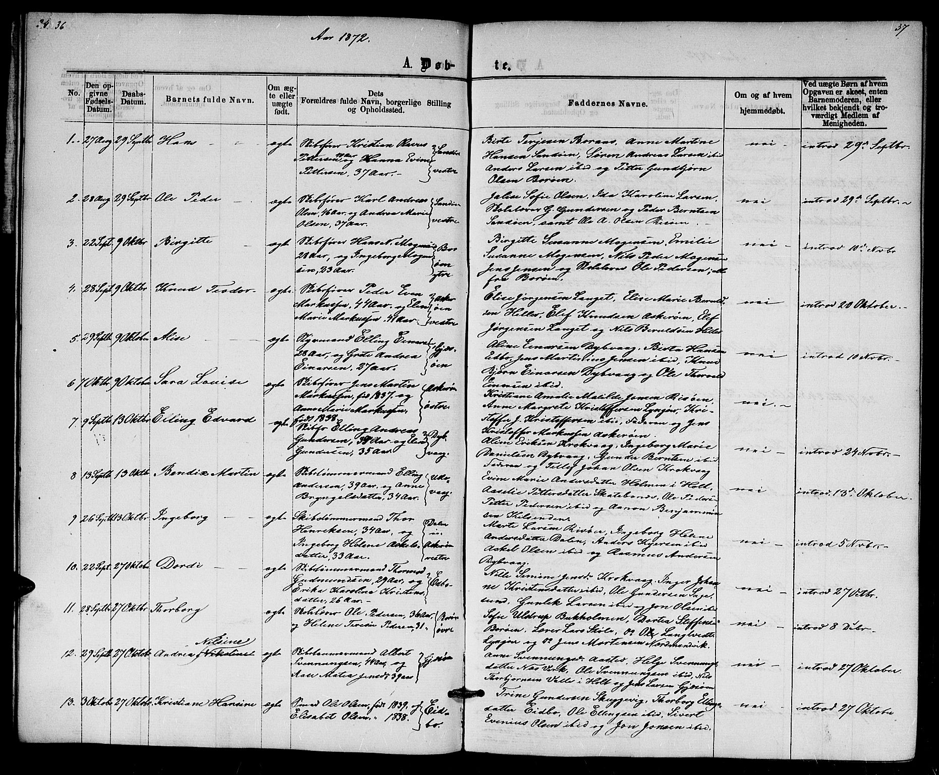 Dypvåg sokneprestkontor, SAK/1111-0007/F/Fb/Fba/L0012: Parish register (copy) no. B 12, 1872-1886, p. 36-37