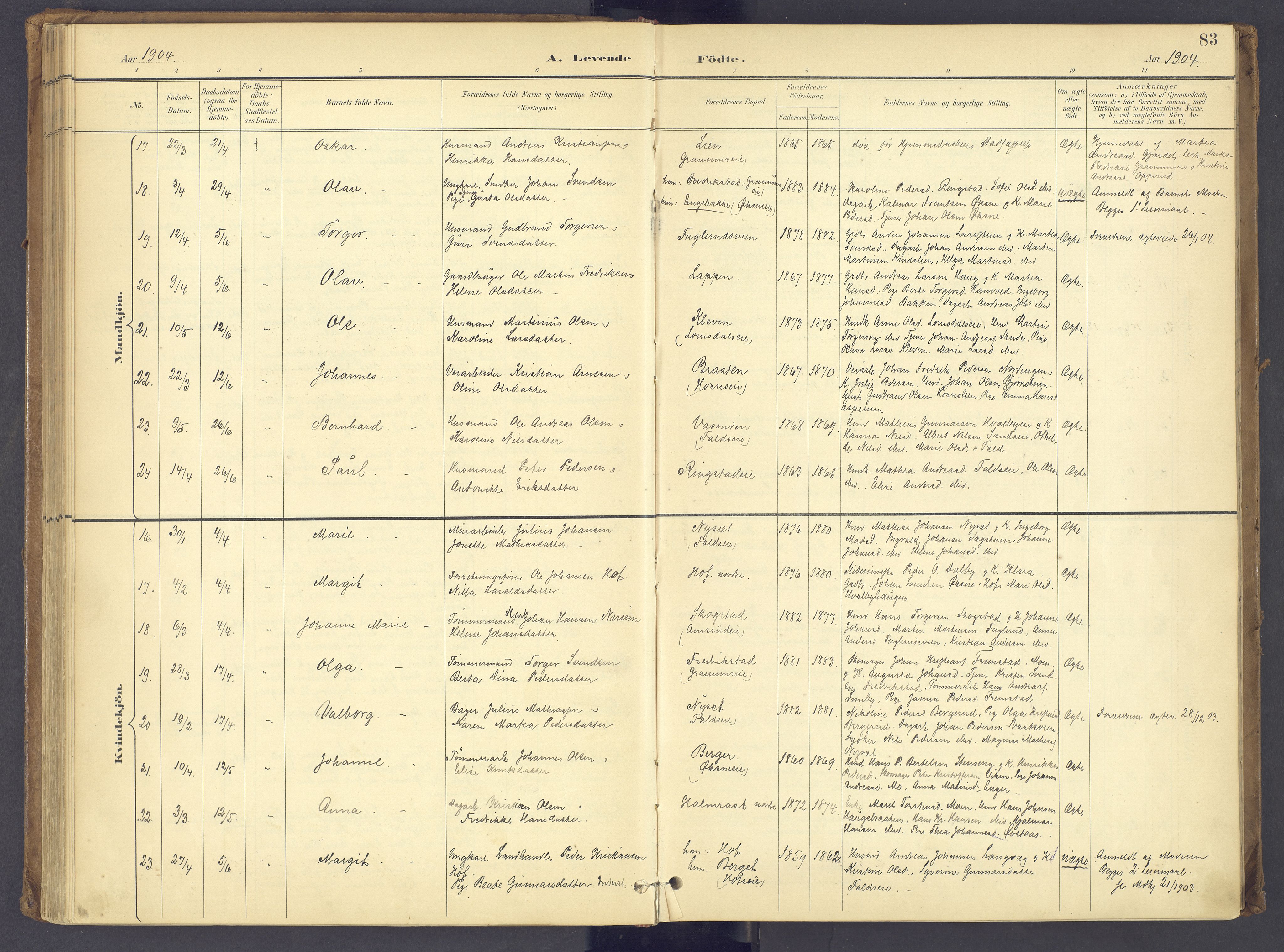 Søndre Land prestekontor, AV/SAH-PREST-122/K/L0006: Parish register (official) no. 6, 1895-1904, p. 83