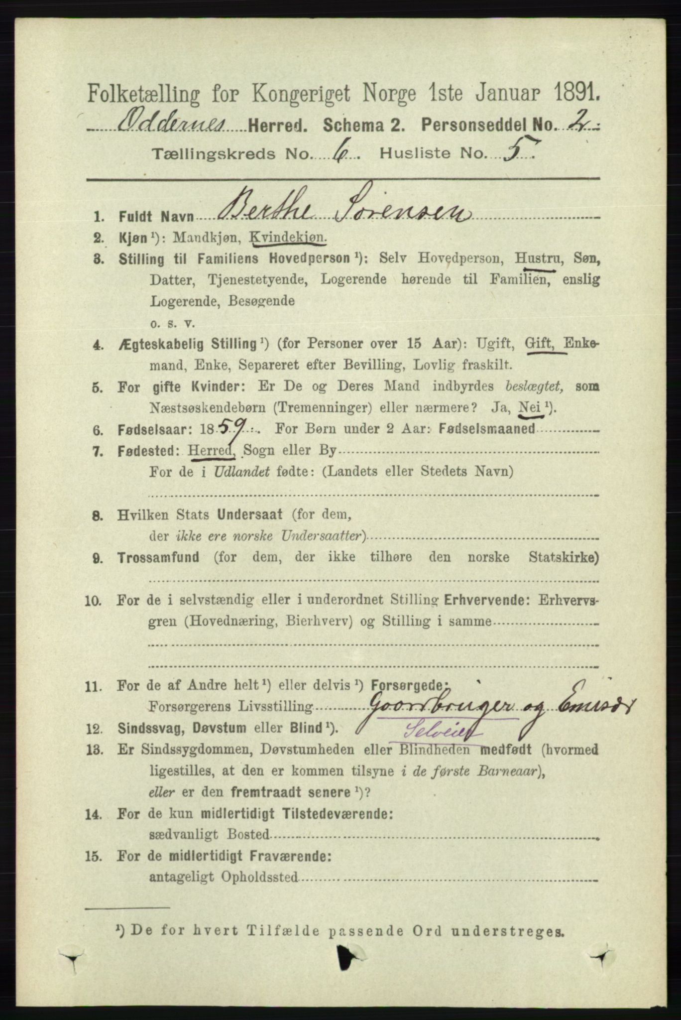 RA, 1891 census for 1012 Oddernes, 1891, p. 2213