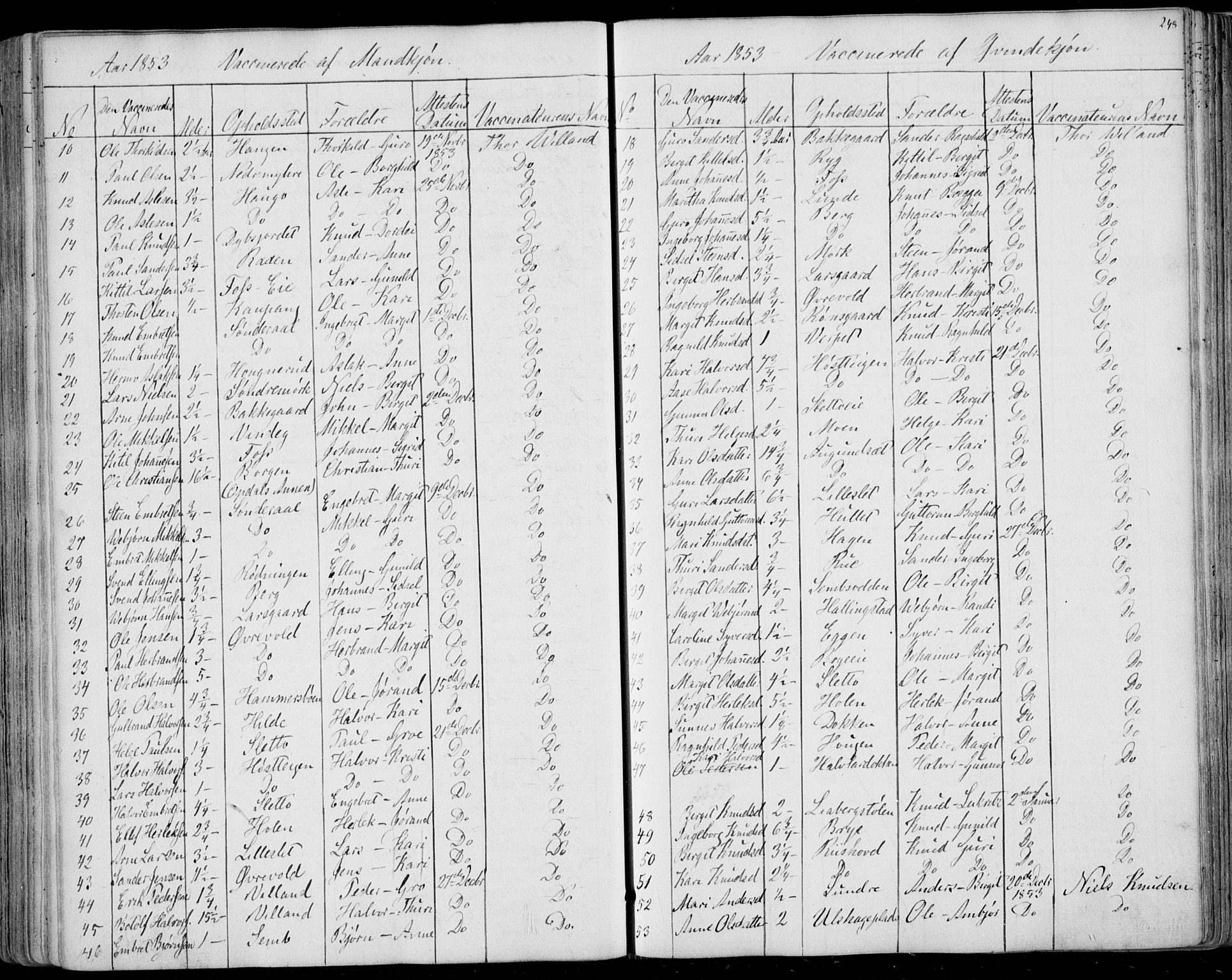 Ål kirkebøker, AV/SAKO-A-249/F/Fa/L0006: Parish register (official) no. I 6, 1849-1864, p. 248