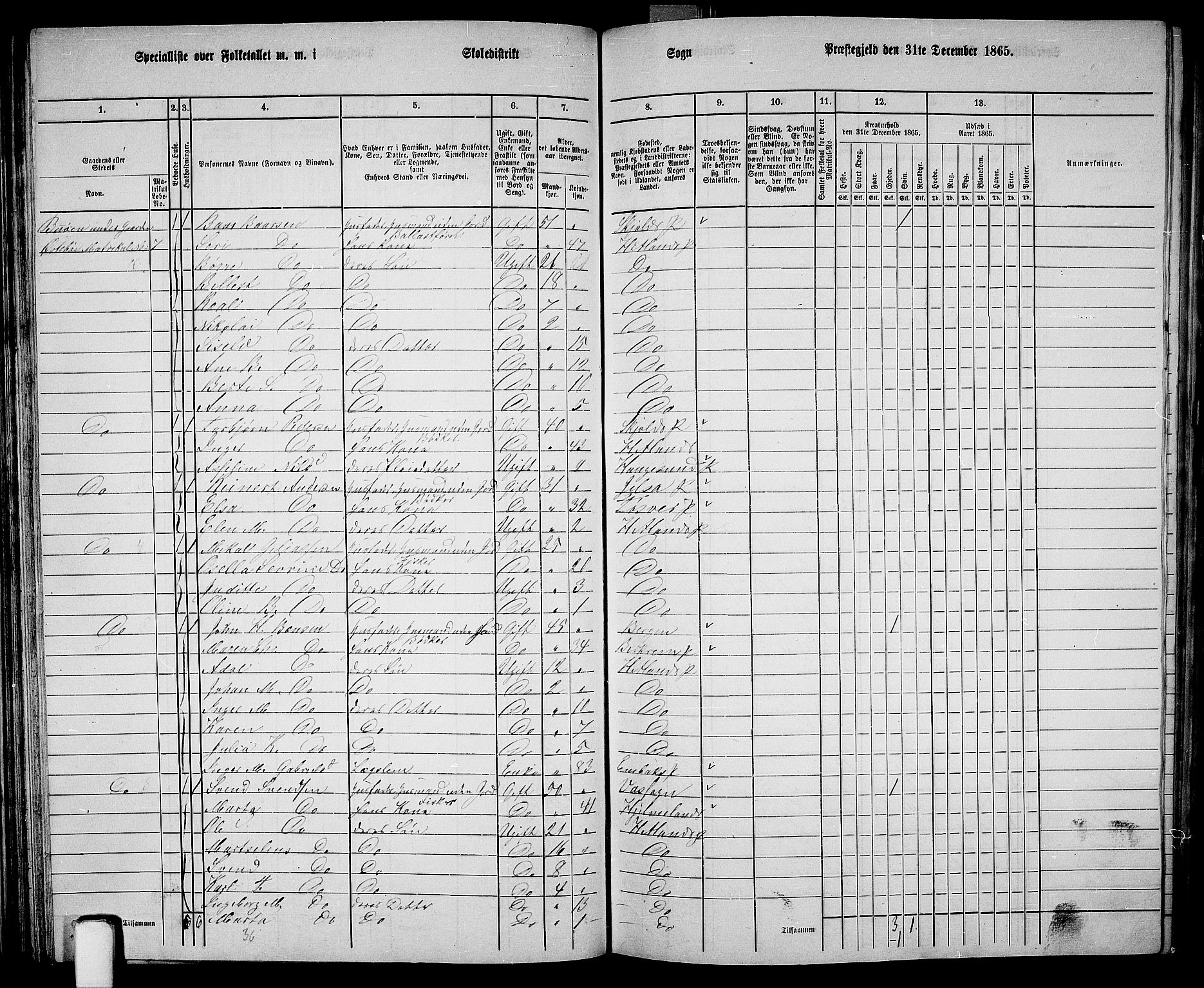 RA, 1865 census for Hetland, 1865, p. 56