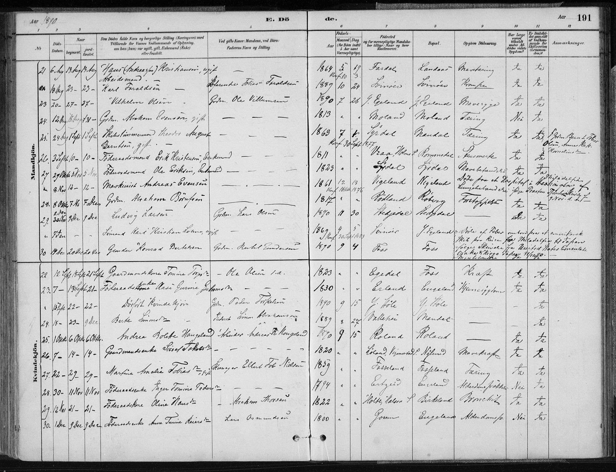 Sør-Audnedal sokneprestkontor, AV/SAK-1111-0039/F/Fa/Fab/L0009: Parish register (official) no. A 9, 1880-1895, p. 191