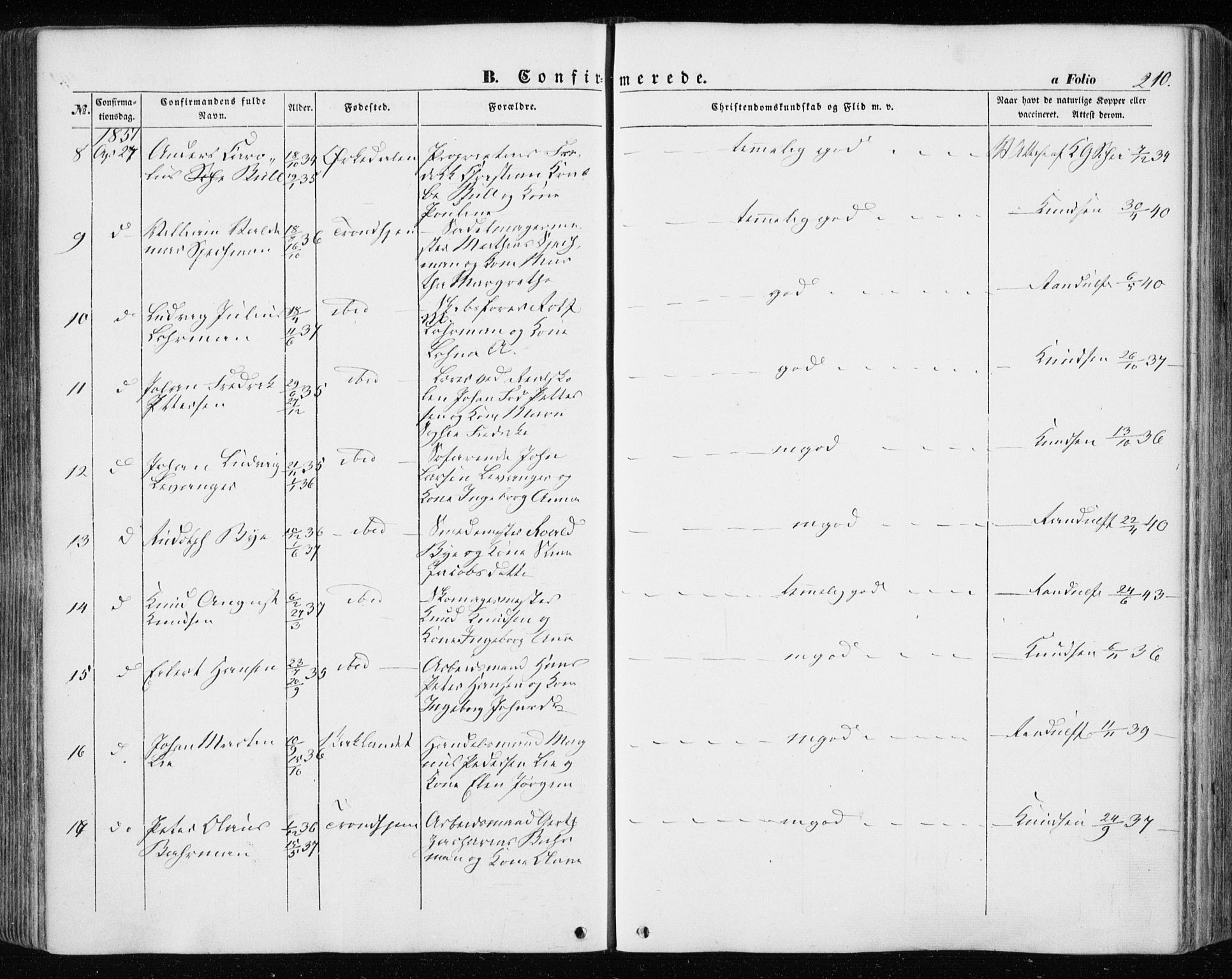 Ministerialprotokoller, klokkerbøker og fødselsregistre - Sør-Trøndelag, AV/SAT-A-1456/601/L0051: Parish register (official) no. 601A19, 1848-1857, p. 210