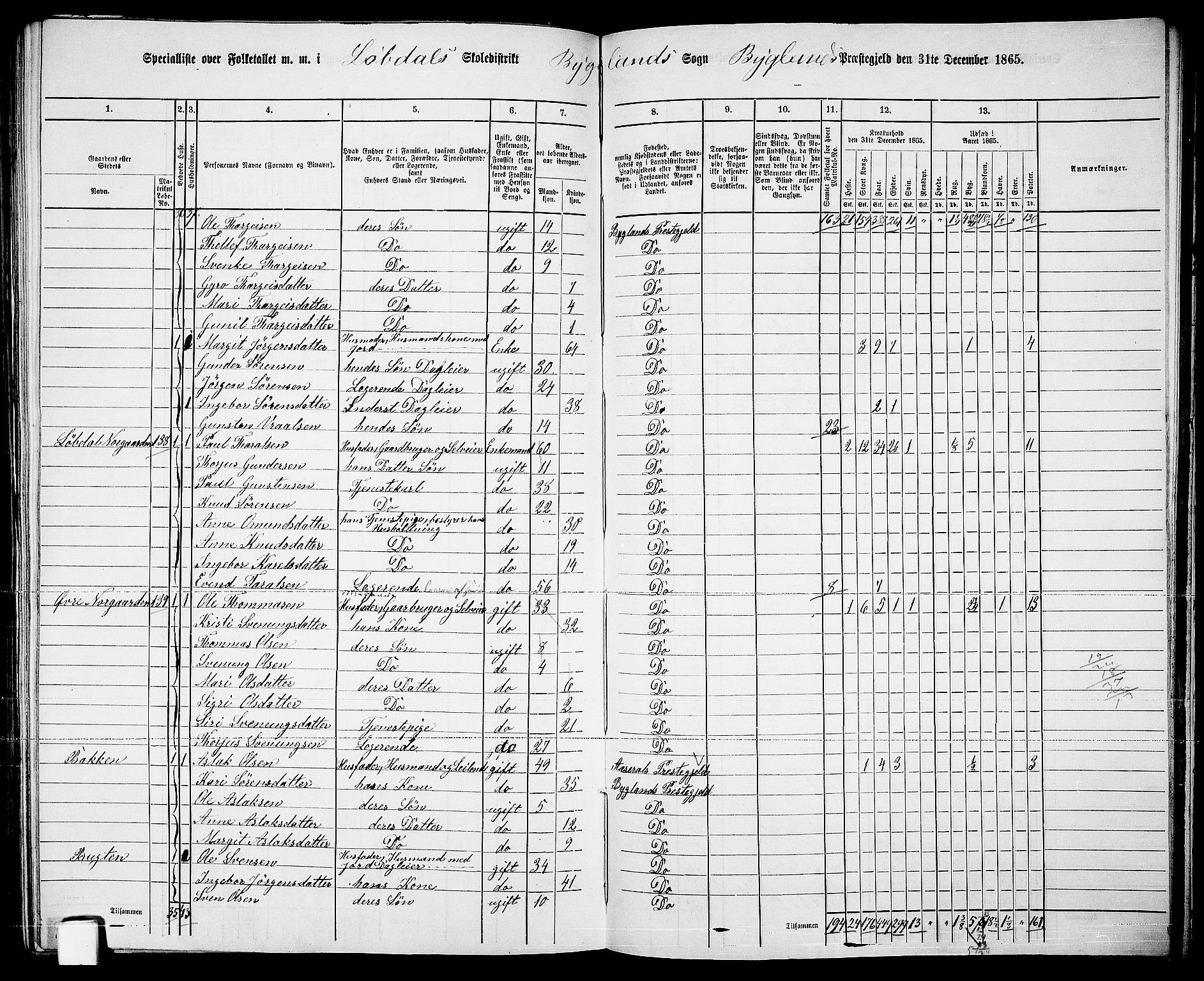 RA, 1865 census for Bygland, 1865, p. 74