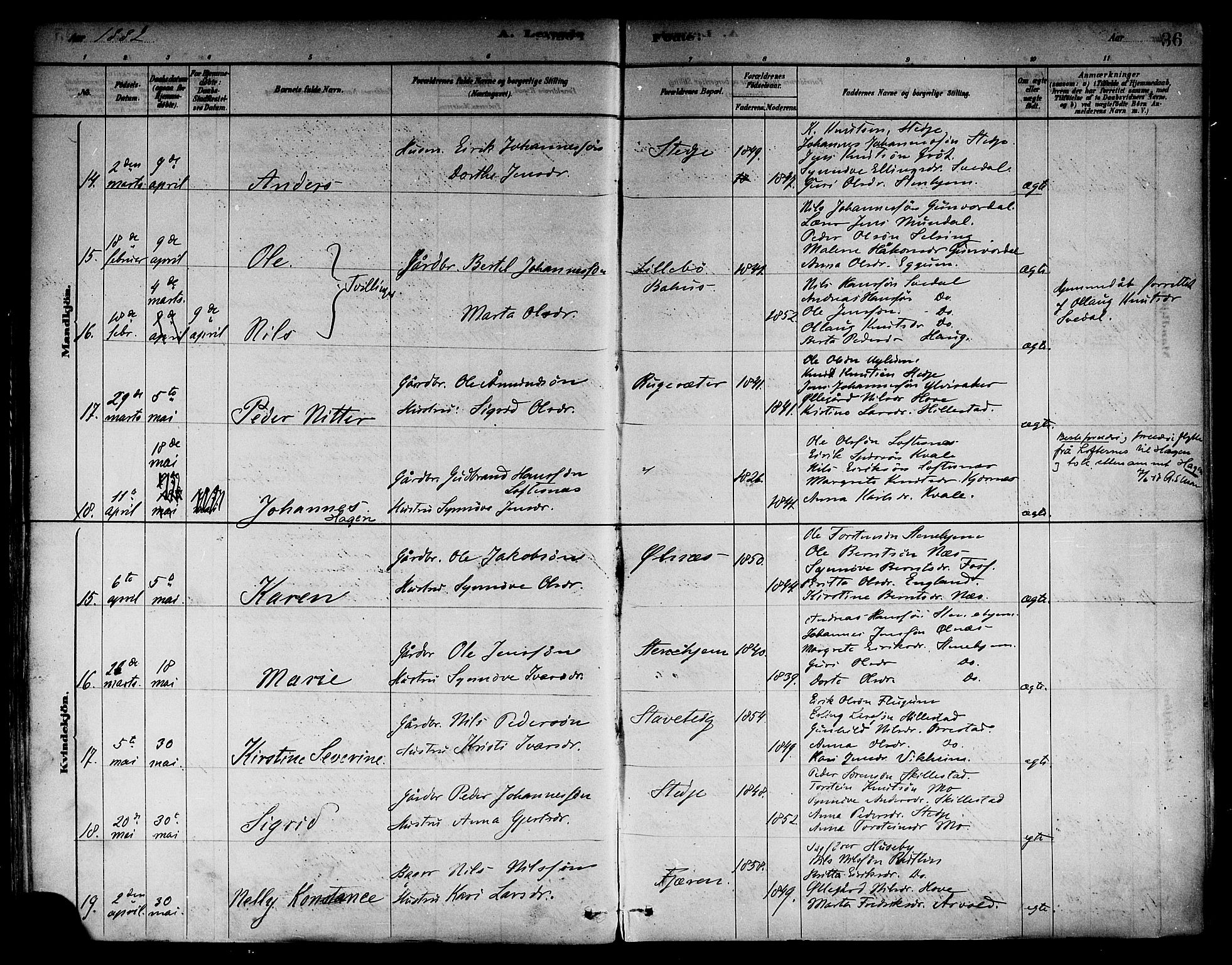 Sogndal sokneprestembete, AV/SAB-A-81301/H/Haa/Haab/L0001: Parish register (official) no. B 1, 1878-1899, p. 36