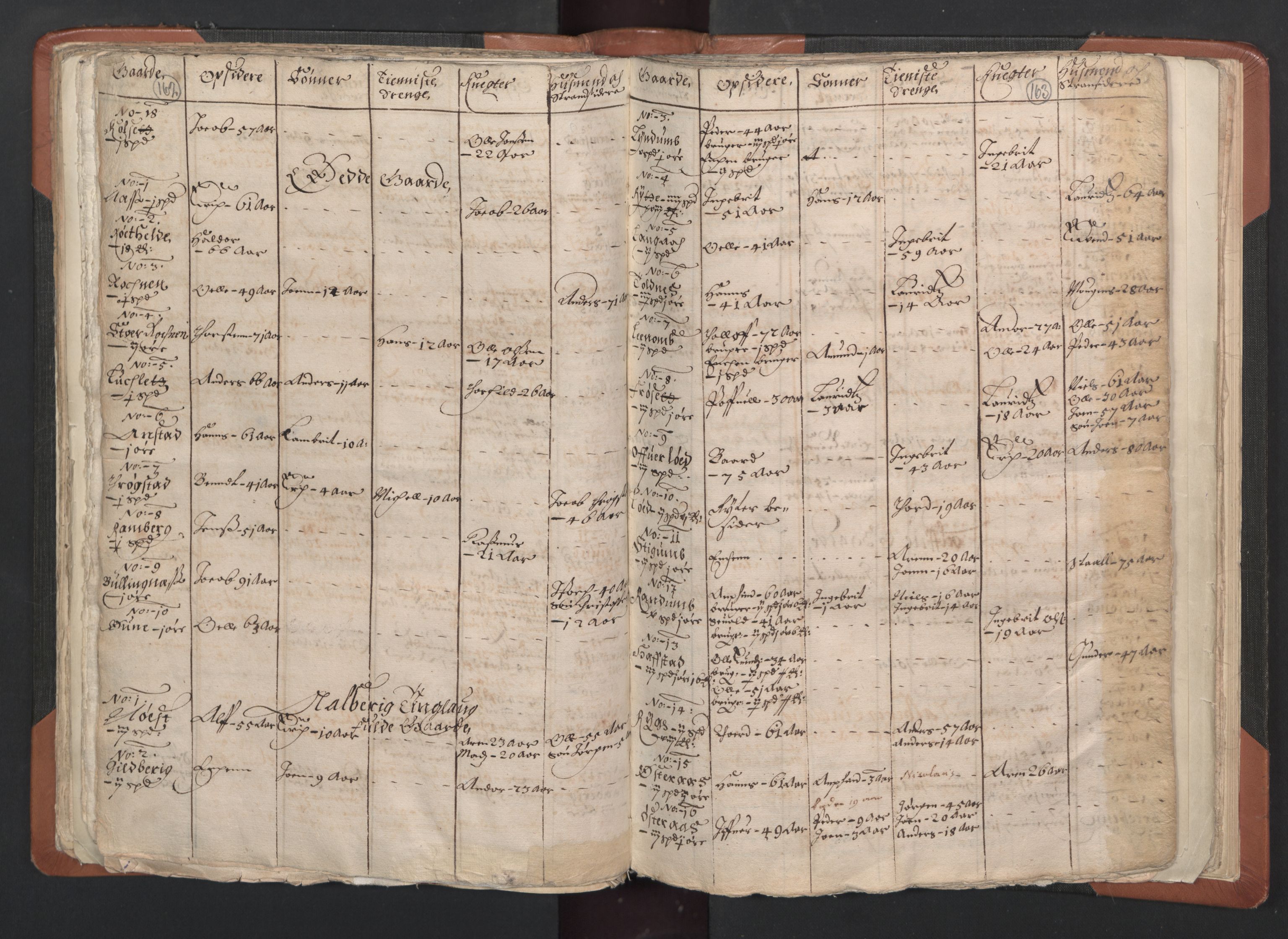 RA, Vicar's Census 1664-1666, no. 33: Innherad deanery, 1664-1666, p. 162-163