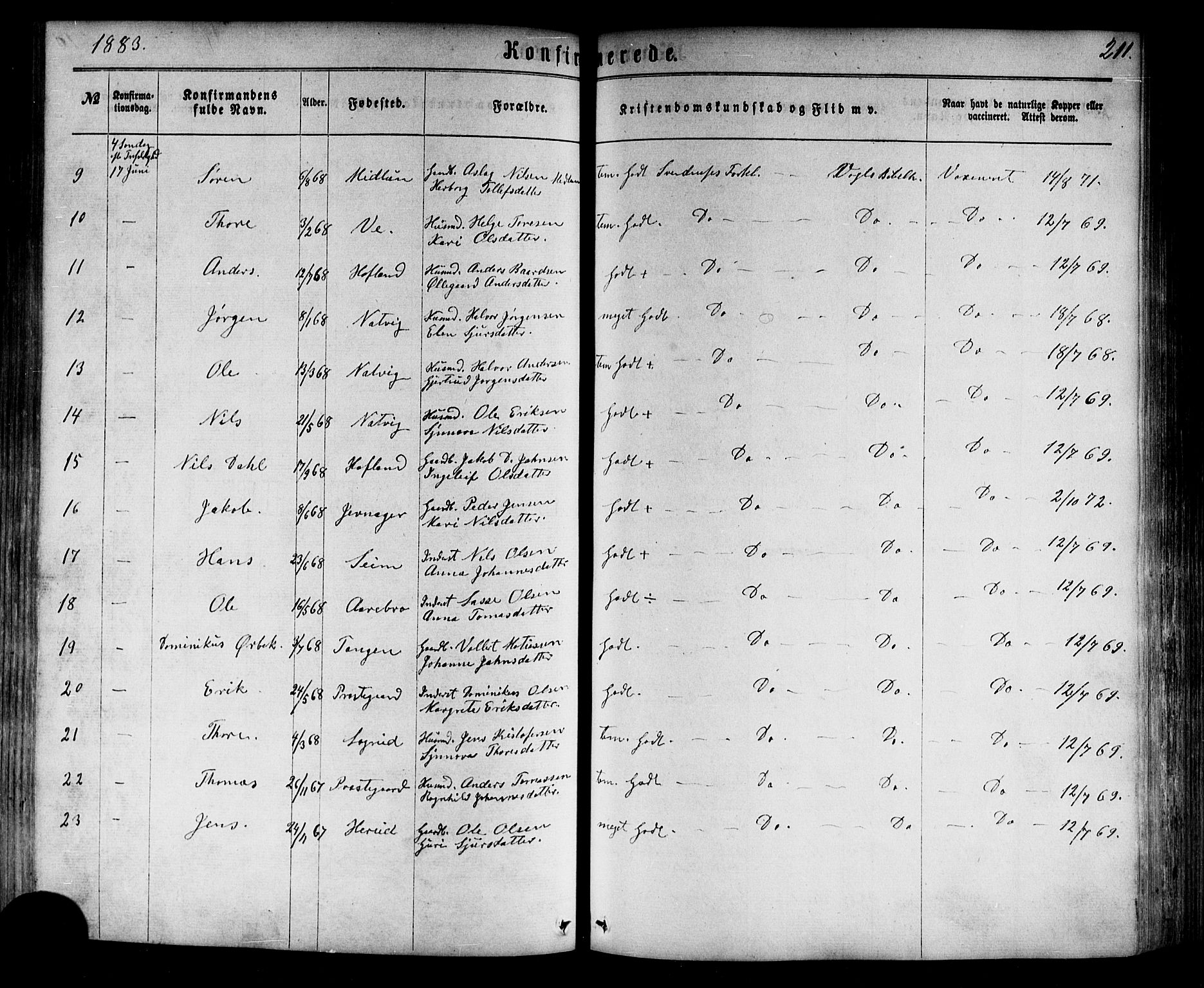 Årdal sokneprestembete, SAB/A-81701: Parish register (official) no. A 3, 1863-1886, p. 211