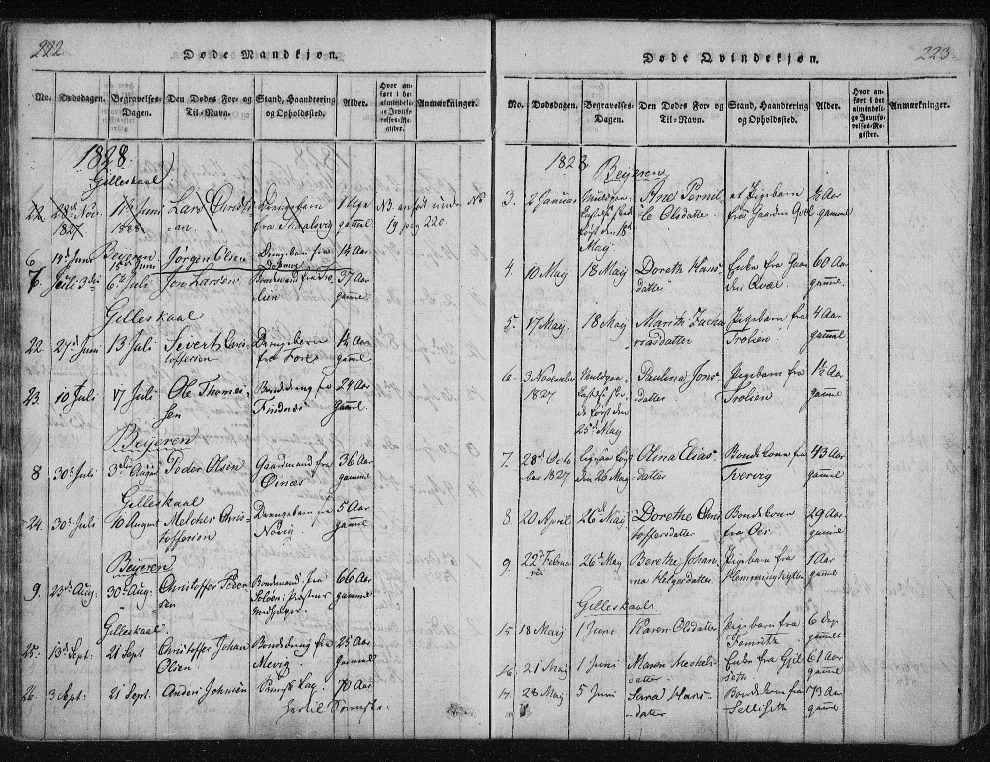 Ministerialprotokoller, klokkerbøker og fødselsregistre - Nordland, AV/SAT-A-1459/805/L0096: Parish register (official) no. 805A03, 1820-1837, p. 222-223