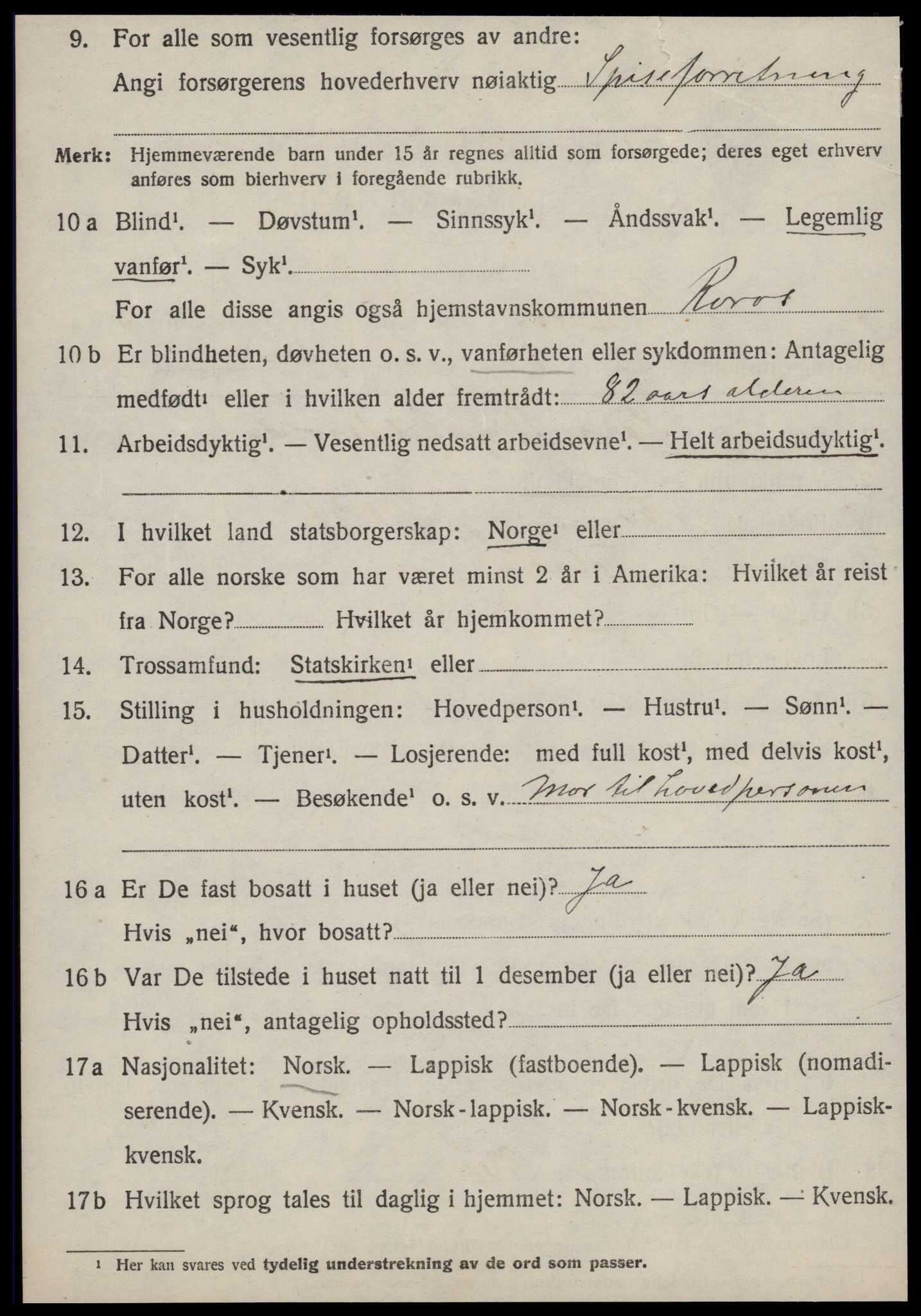 SAT, 1920 census for Røros, 1920, p. 3905