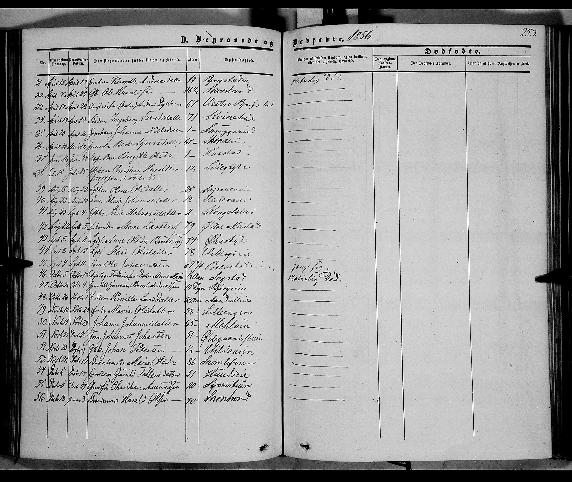 Vardal prestekontor, SAH/PREST-100/H/Ha/Haa/L0006: Parish register (official) no. 6, 1854-1866, p. 253
