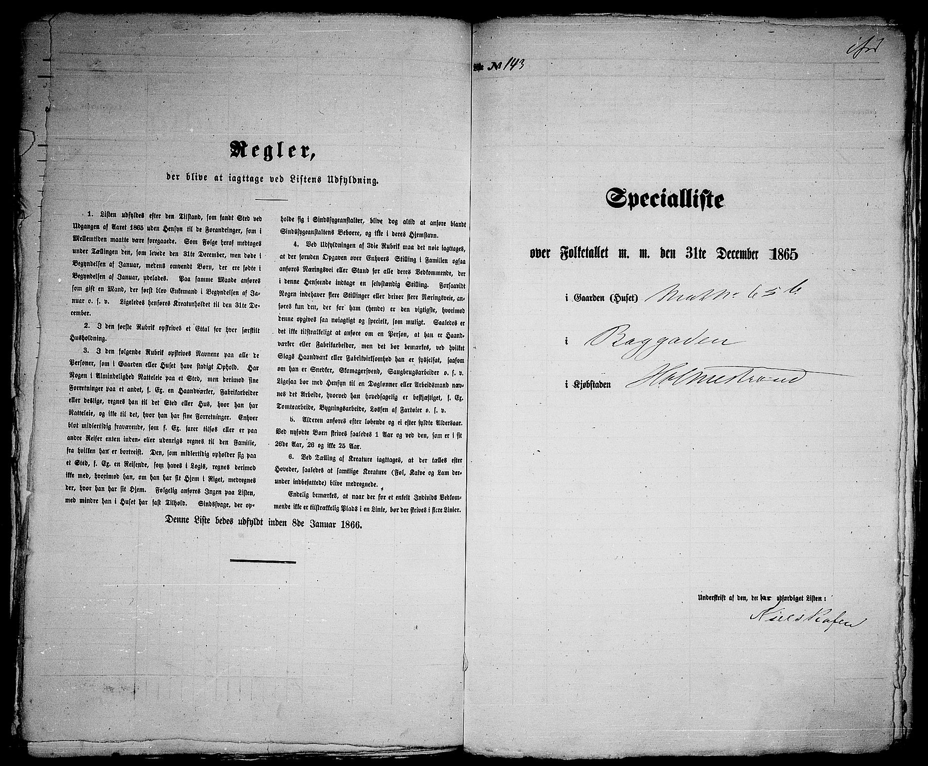 RA, 1865 census for Botne/Holmestrand, 1865, p. 294