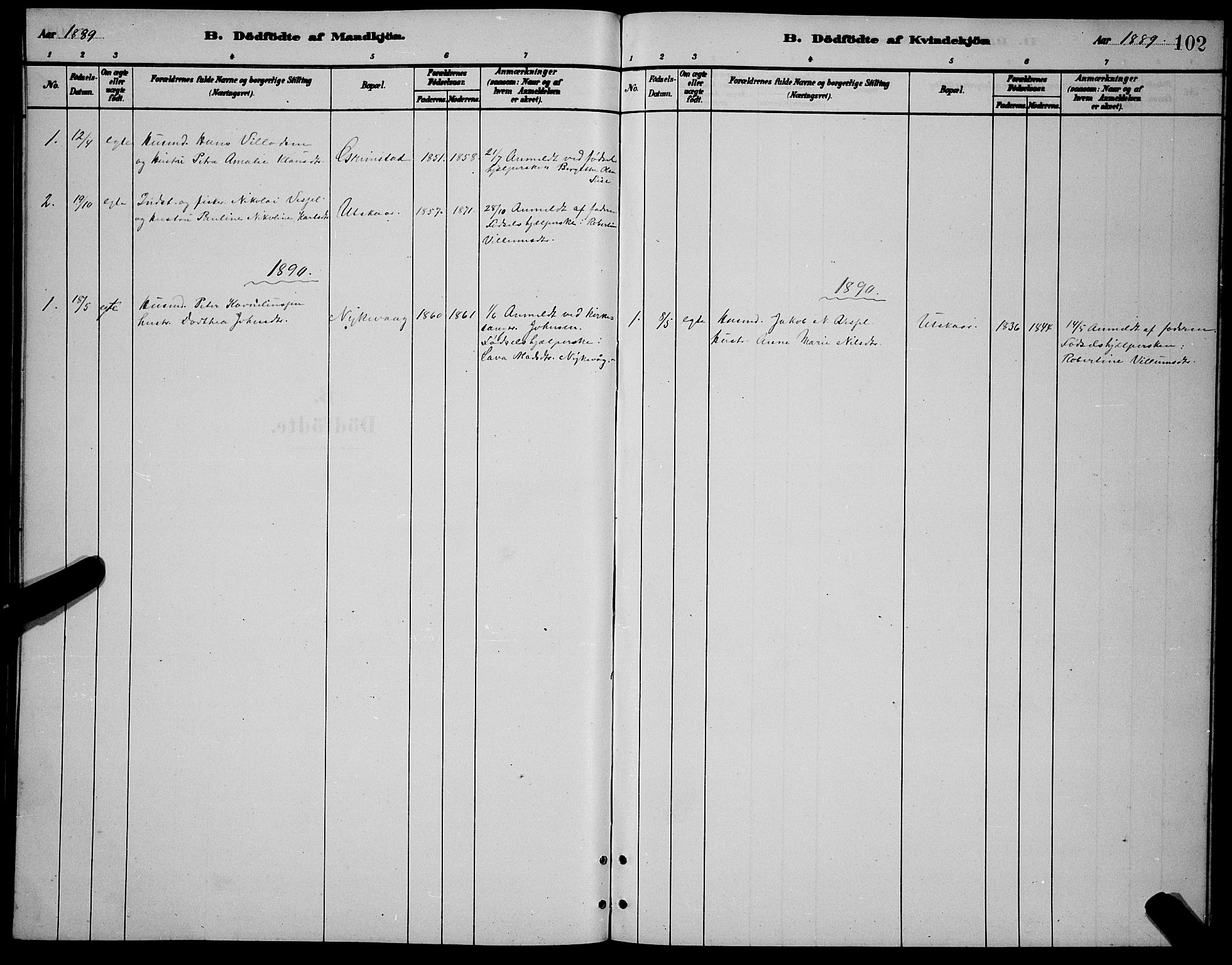 Ministerialprotokoller, klokkerbøker og fødselsregistre - Nordland, AV/SAT-A-1459/892/L1325: Parish register (copy) no. 892C02, 1878-1896, p. 102