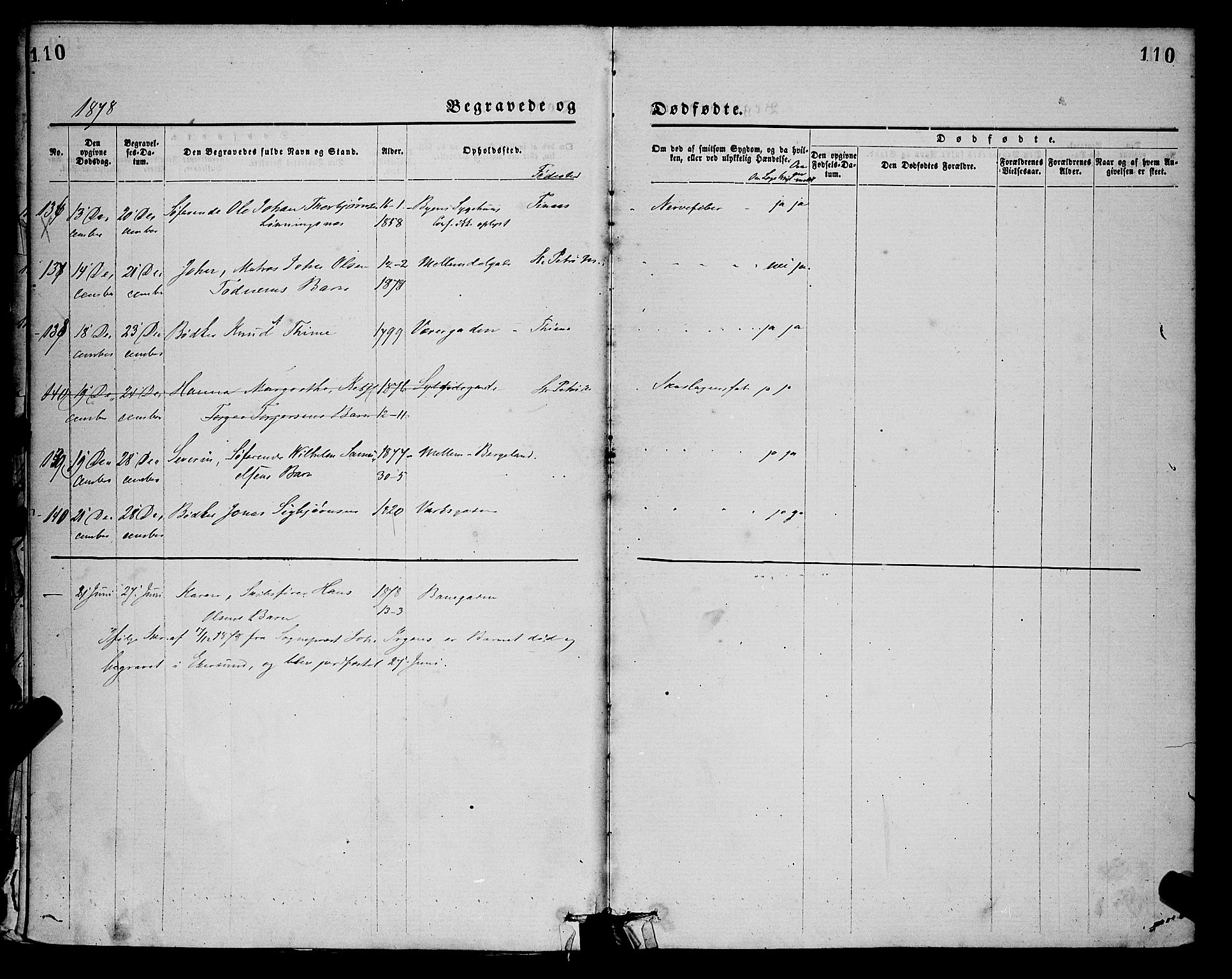 St. Petri sokneprestkontor, SAST/A-101813/001/30/30BA/L0012: Parish register (official) no. A 12, 1873-1878, p. 110