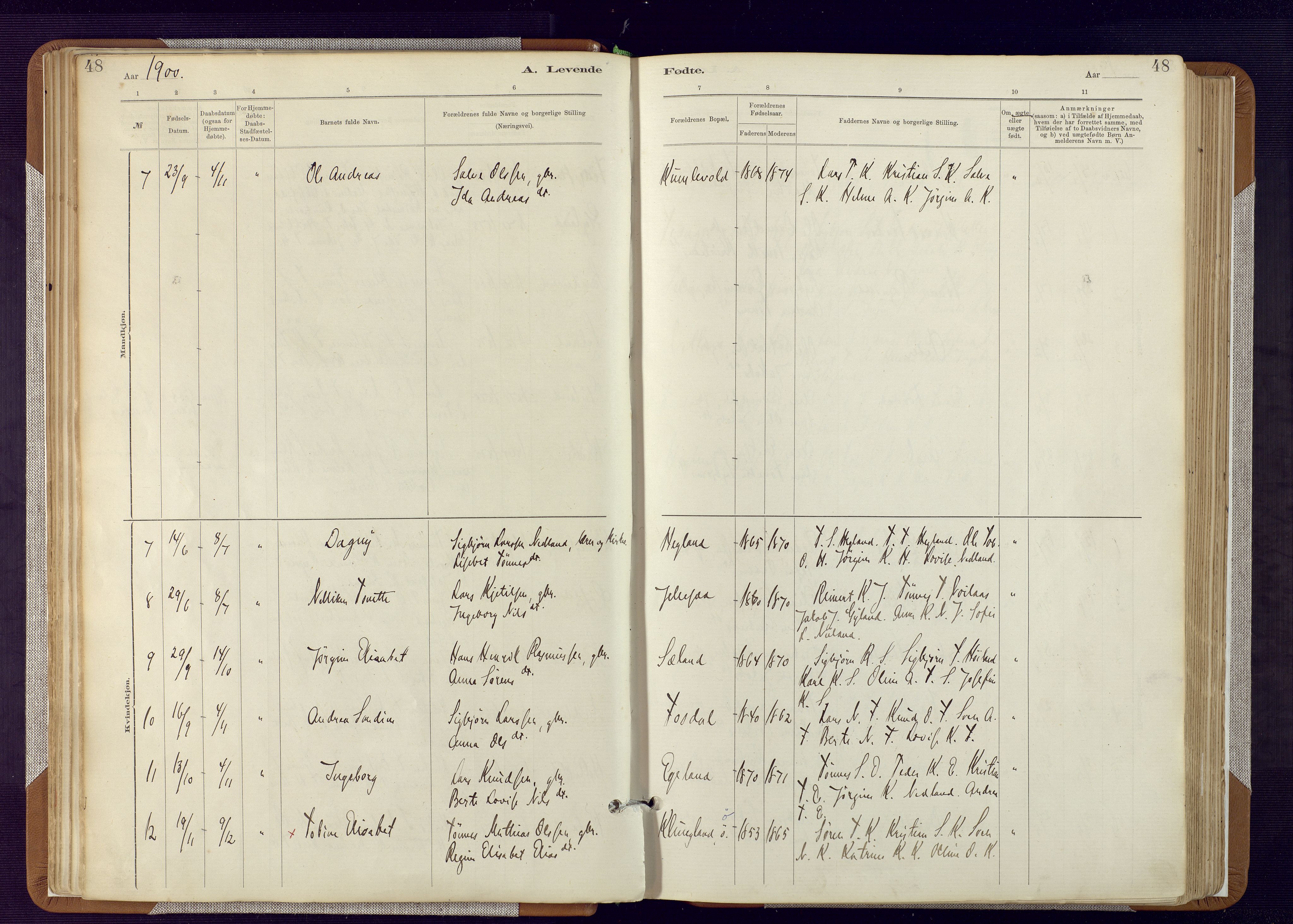 Bakke sokneprestkontor, AV/SAK-1111-0002/F/Fa/Fab/L0003: Parish register (official) no. A 3, 1884-1921, p. 48