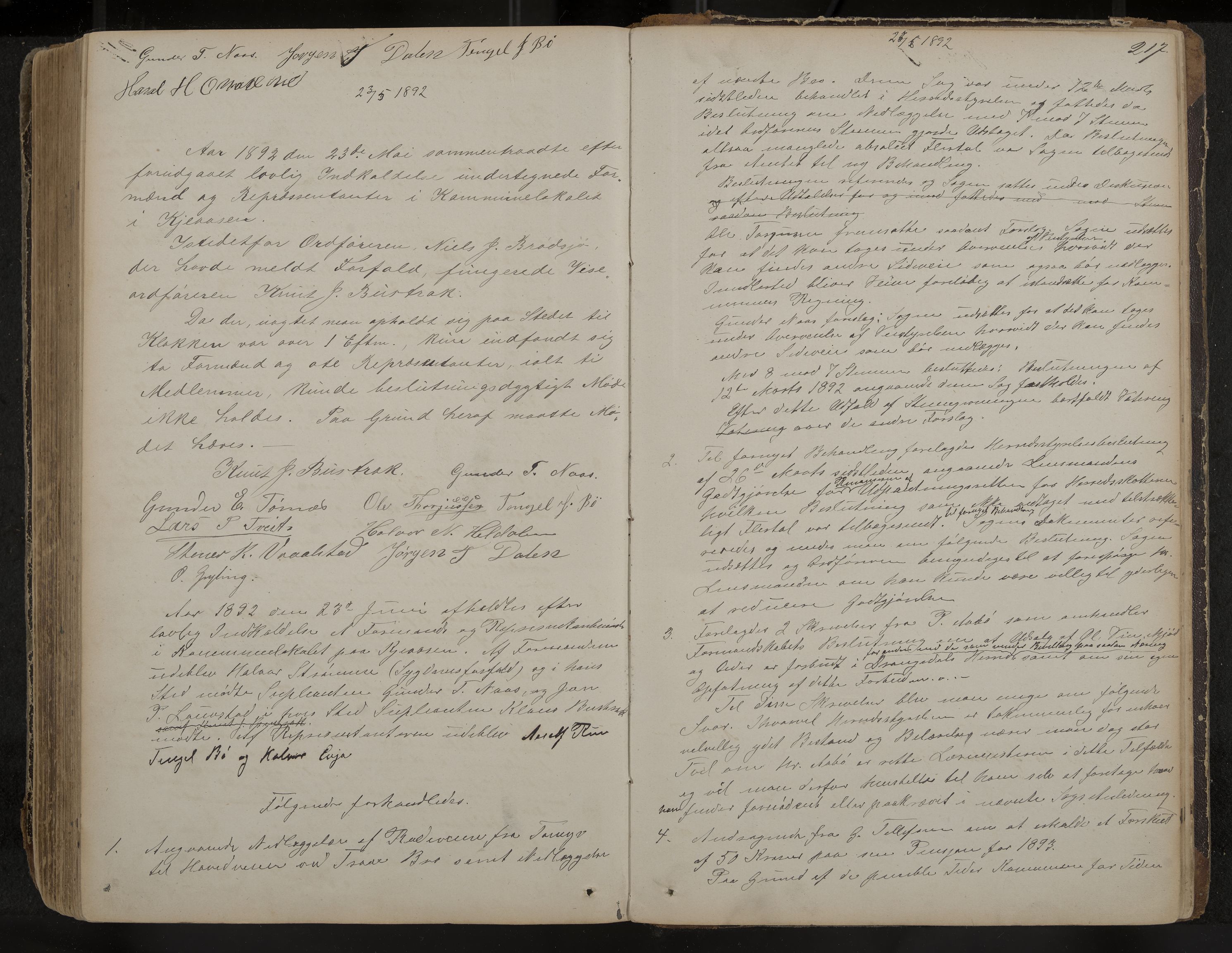 Drangedal formannskap og sentraladministrasjon, IKAK/0817021/A/L0002: Møtebok, 1870-1892, p. 217