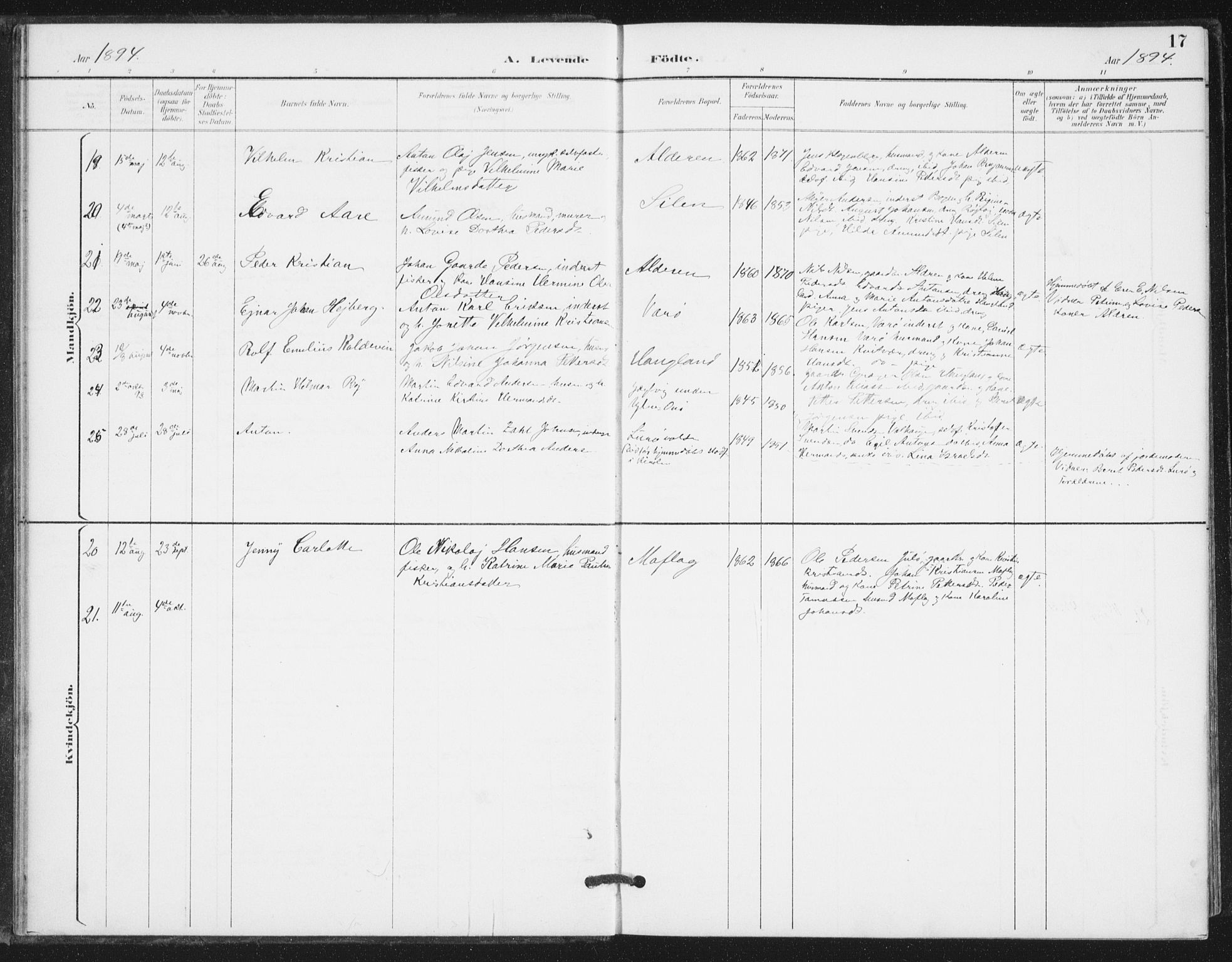 Ministerialprotokoller, klokkerbøker og fødselsregistre - Nordland, AV/SAT-A-1459/839/L0573: Parish register (copy) no. 839C03, 1892-1917, p. 17