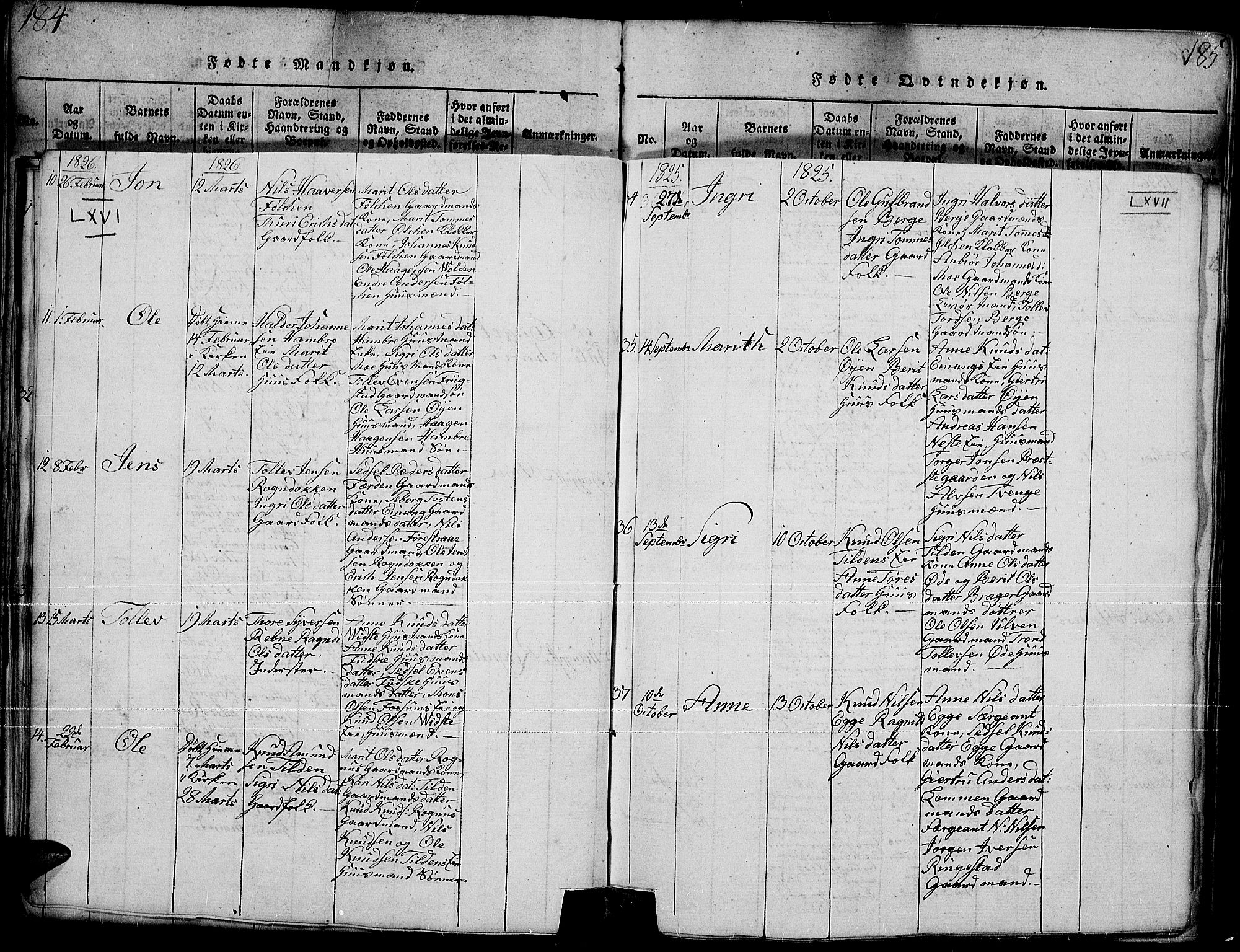 Slidre prestekontor, SAH/PREST-134/H/Ha/Hab/L0001: Parish register (copy) no. 1, 1814-1838, p. 185h