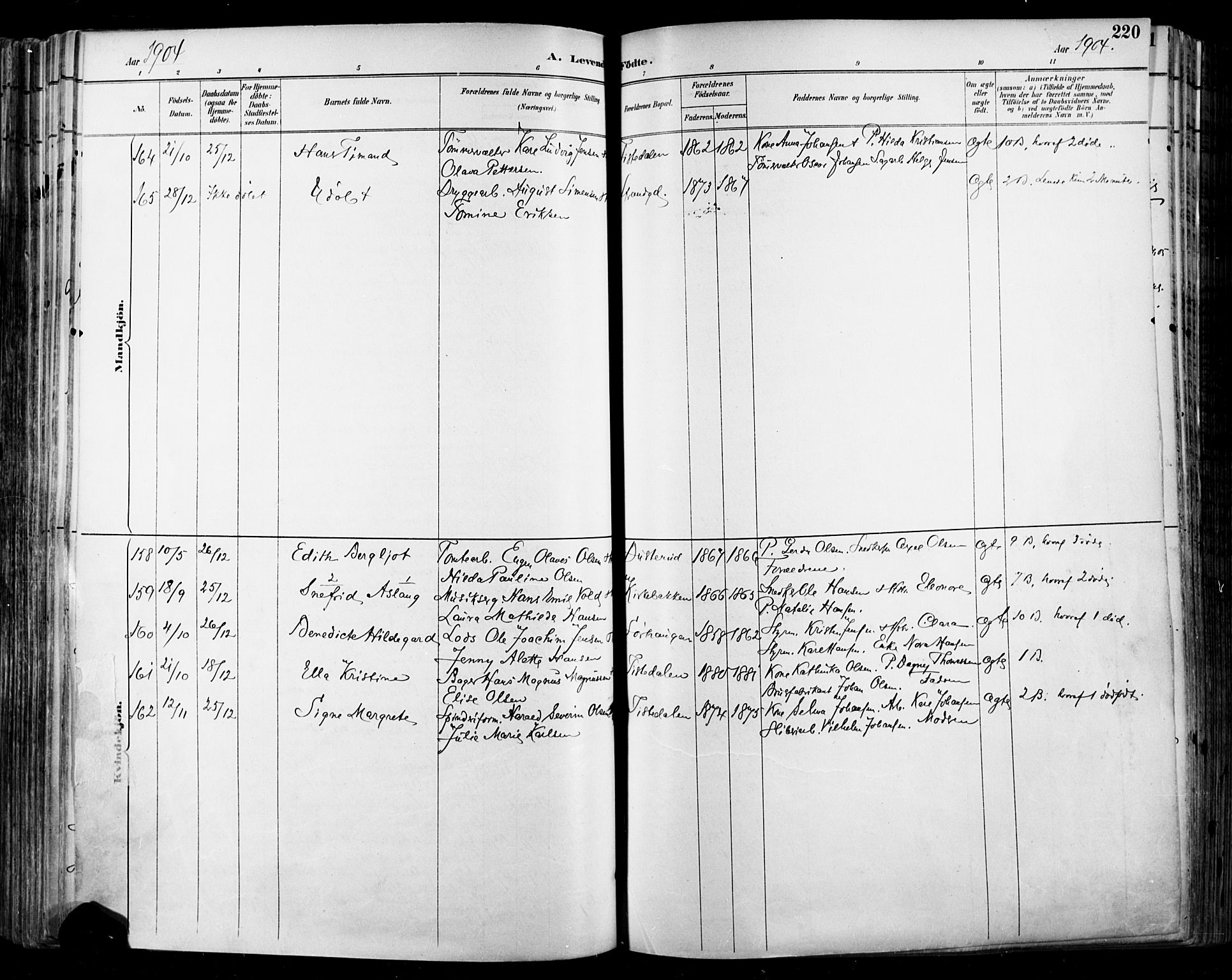 Halden prestekontor Kirkebøker, AV/SAO-A-10909/F/Fa/L0013: Parish register (official) no. I 13, 1890-1906, p. 220