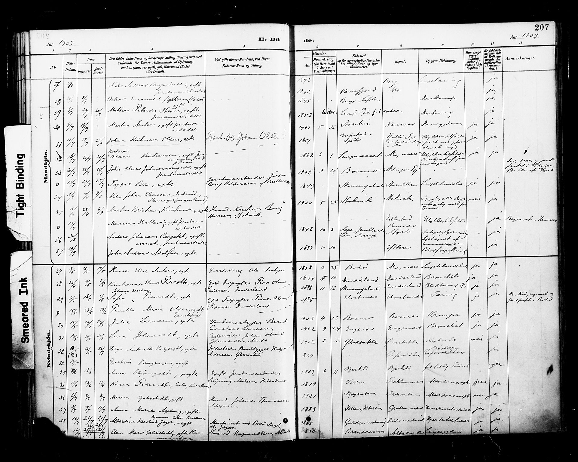 Ministerialprotokoller, klokkerbøker og fødselsregistre - Nordland, AV/SAT-A-1459/827/L0401: Parish register (official) no. 827A13, 1887-1905, p. 207