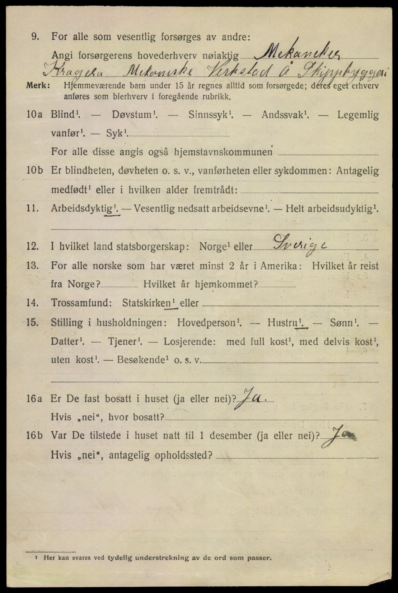 SAKO, 1920 census for Kragerø, 1920, p. 11998