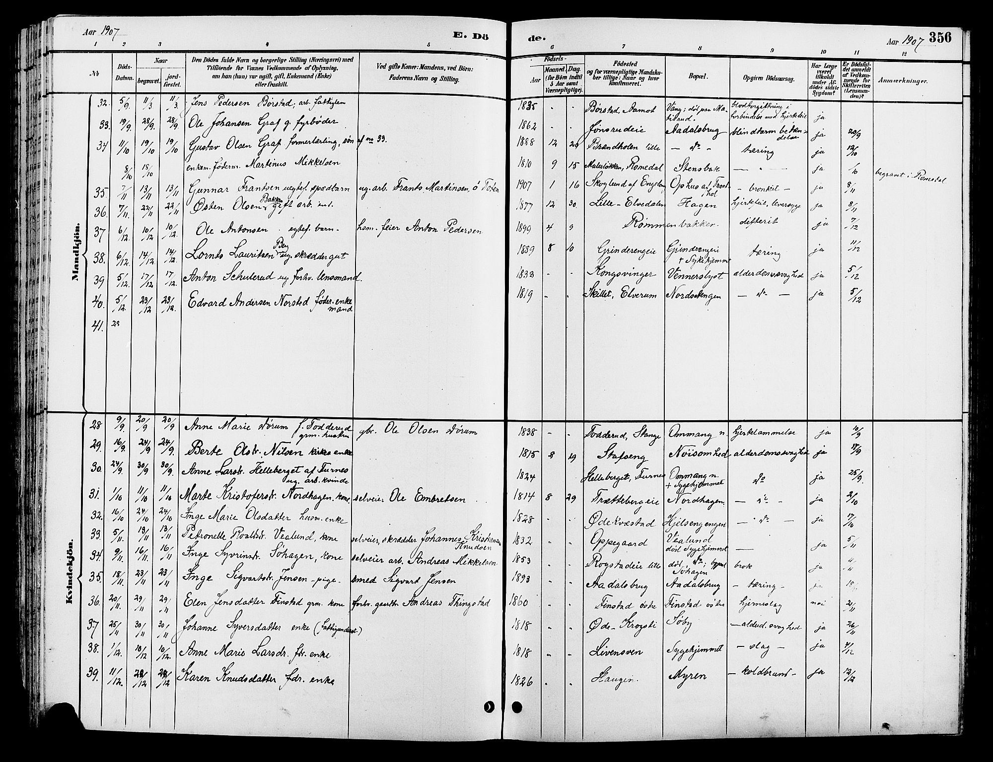 Løten prestekontor, SAH/PREST-022/L/La/L0006: Parish register (copy) no. 6, 1892-1909, p. 356