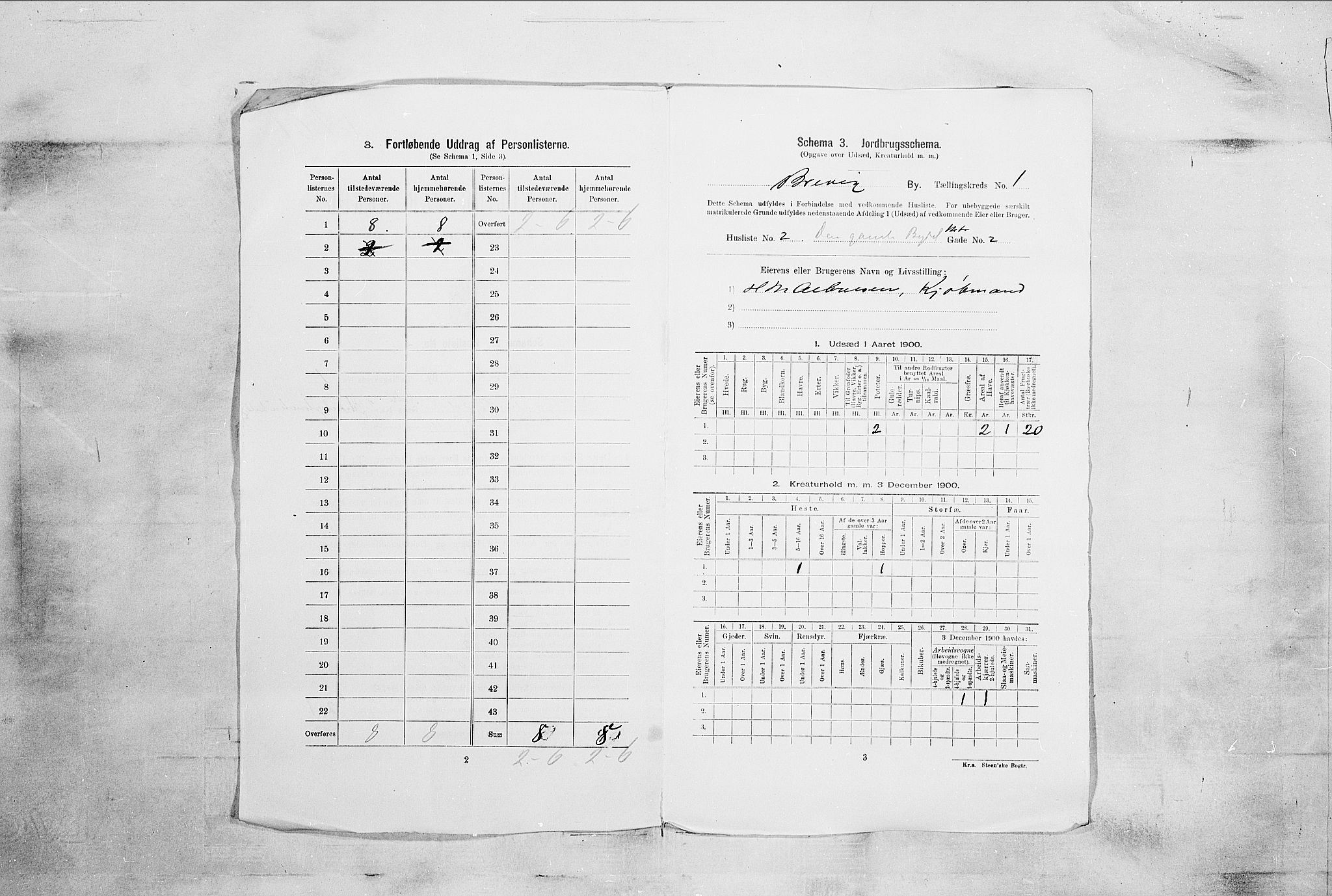 SAKO, 1900 census for Brevik, 1900, p. 25