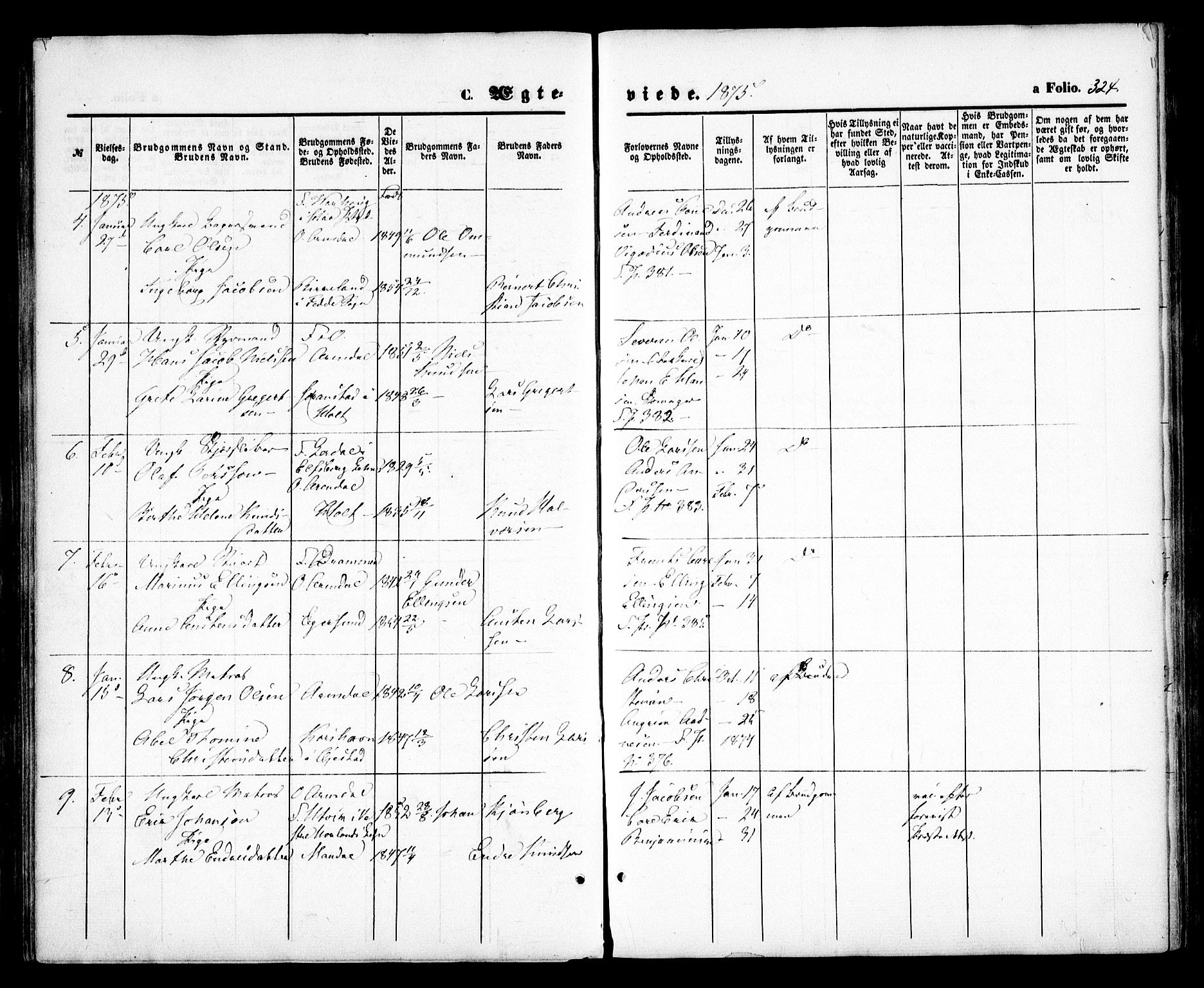 Arendal sokneprestkontor, Trefoldighet, SAK/1111-0040/F/Fa/L0007: Parish register (official) no. A 7, 1868-1878, p. 324