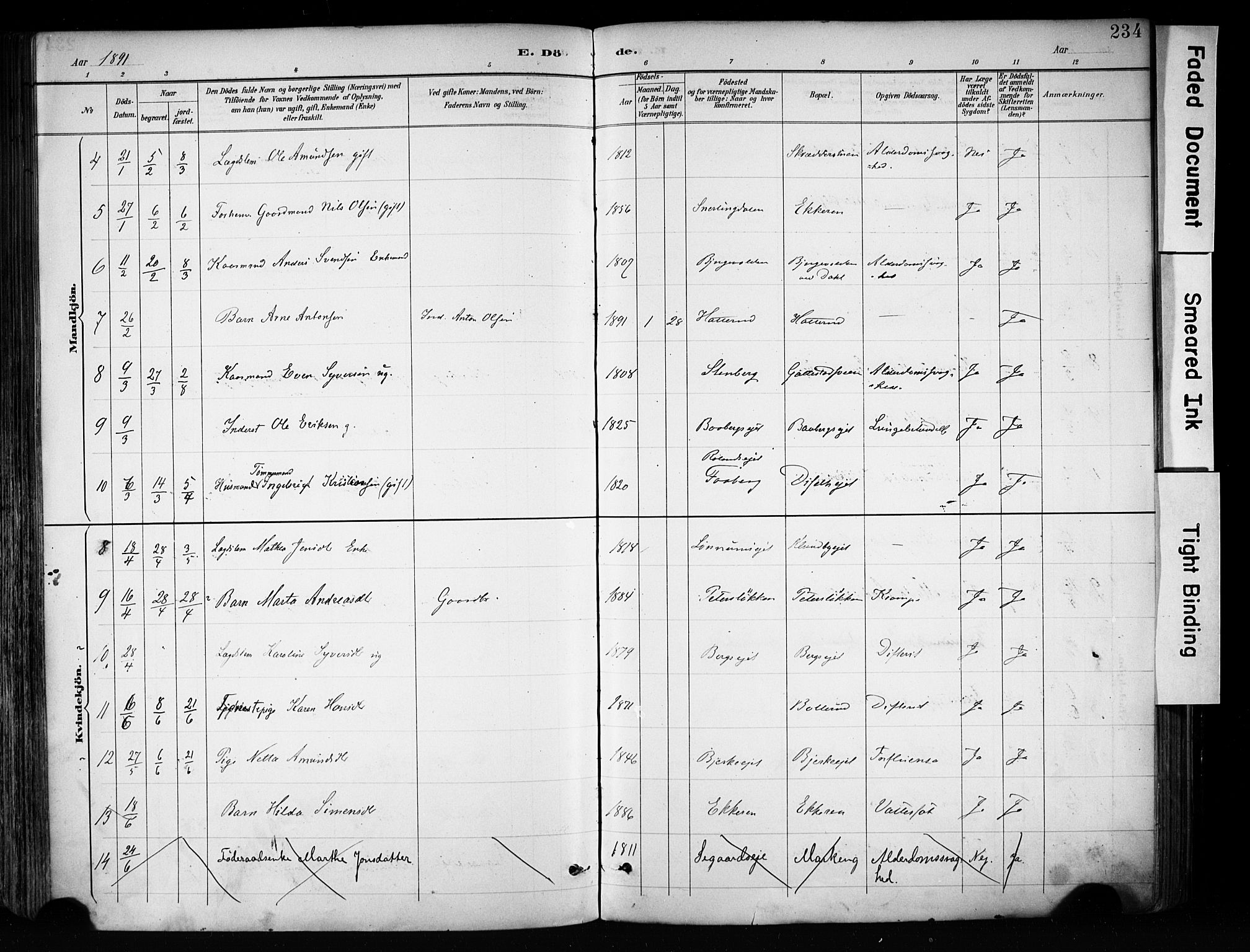 Biri prestekontor, AV/SAH-PREST-096/H/Ha/Haa/L0009: Parish register (official) no. 9, 1887-1900, p. 234