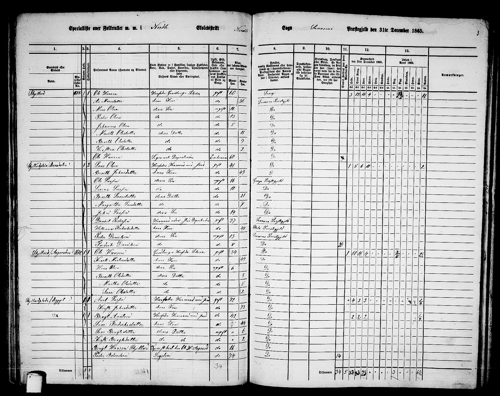 RA, 1865 census for Snåsa, 1865, p. 101