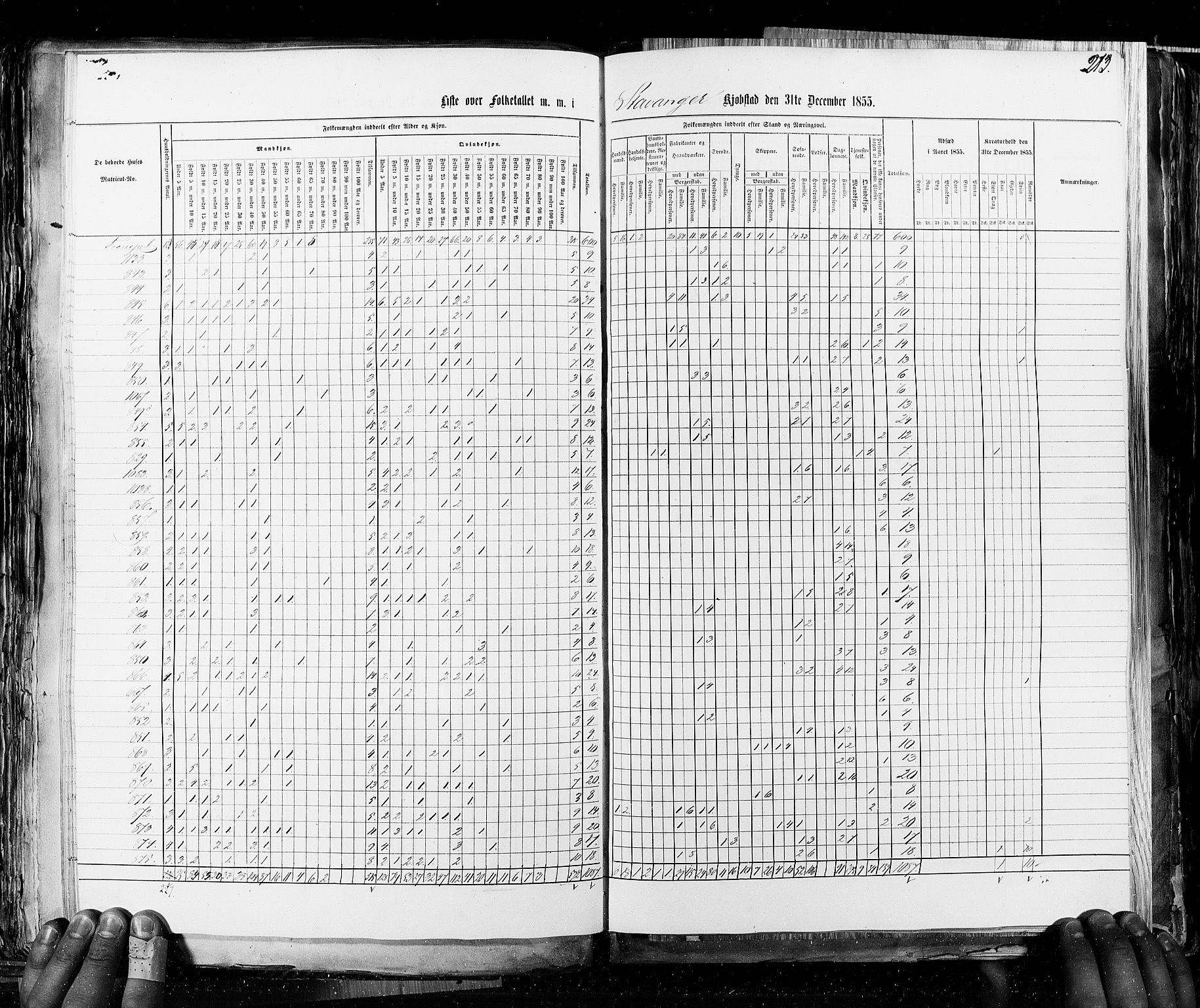 RA, Census 1855, vol. 8: Risør-Vadsø, 1855, p. 213